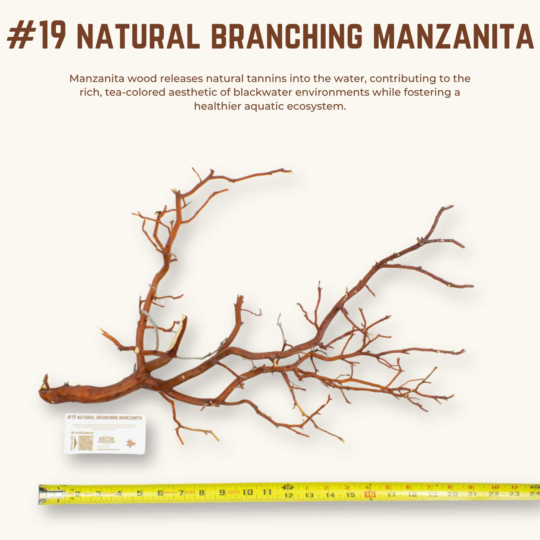 Natural Branching Manzanita | WYSIWYG Pieces