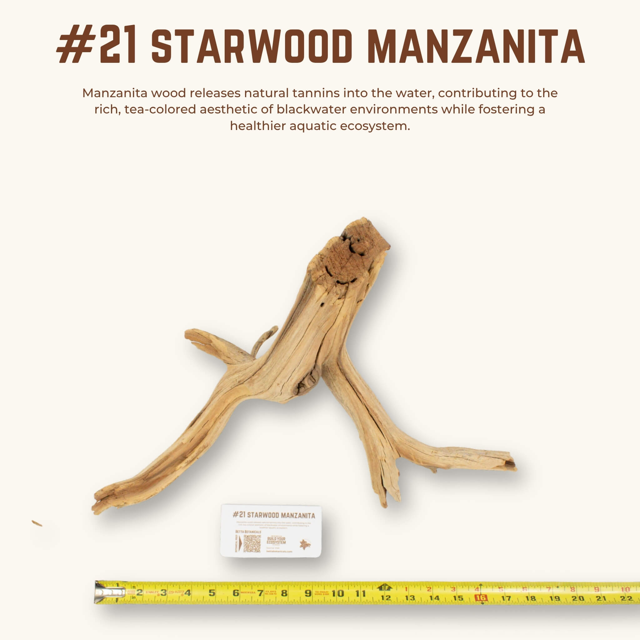 Starwood Manzanita | WYSIWYG Pieces