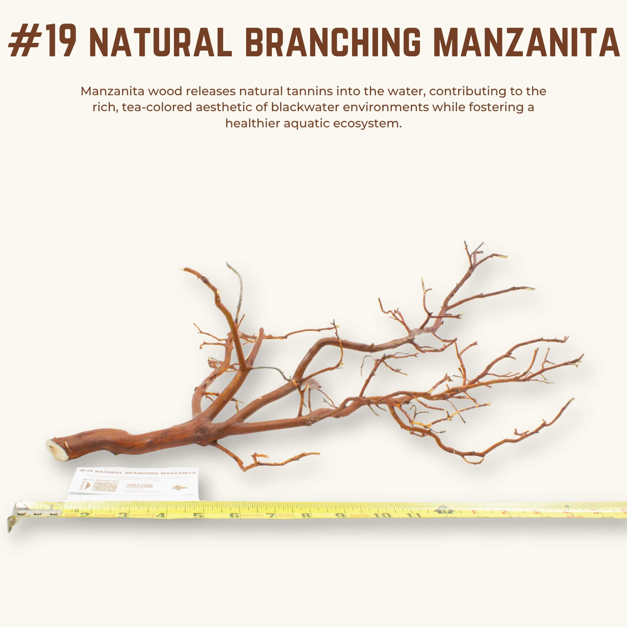 Natural Branching Manzanita | WYSIWYG Pieces
