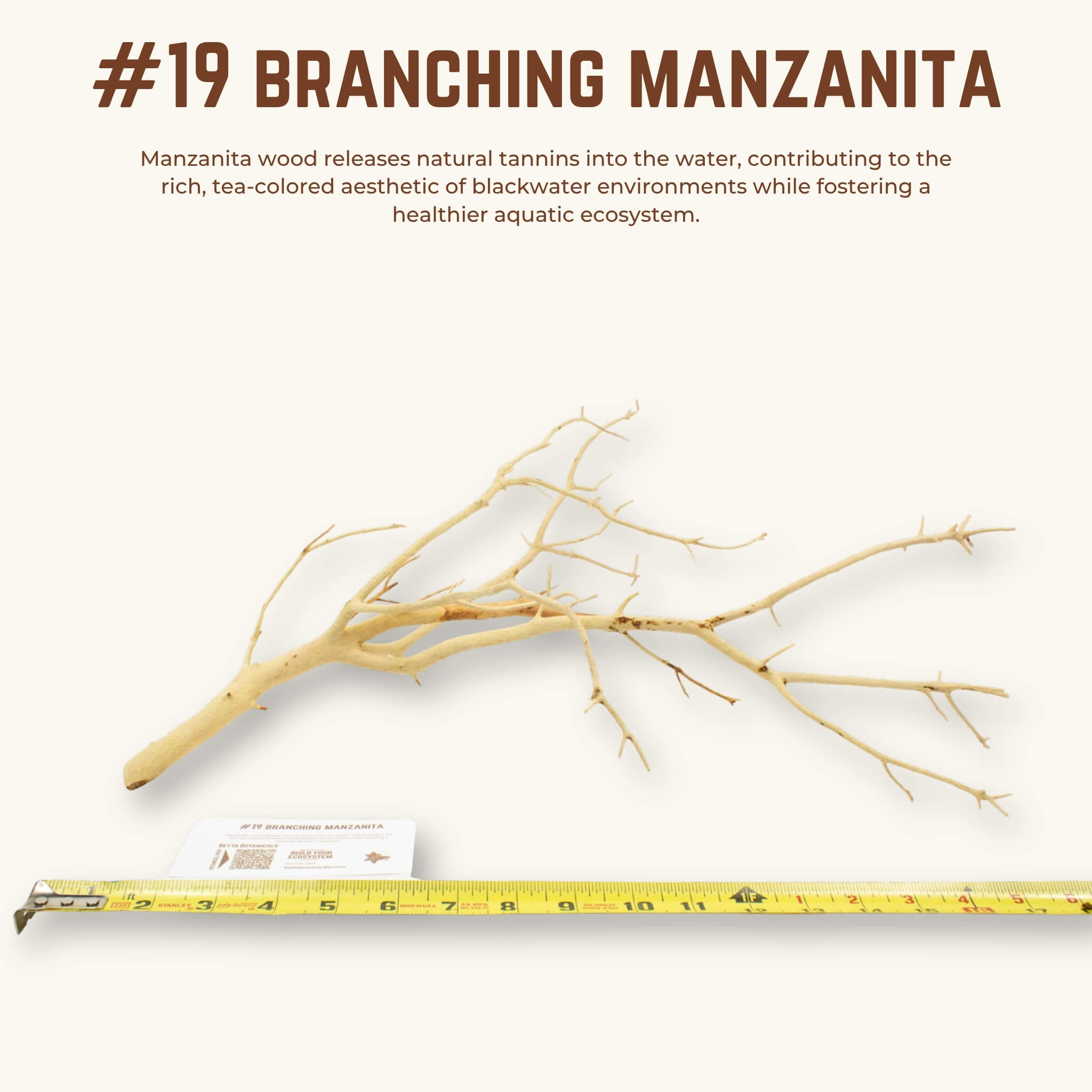 Branching Manzanita | WYSIWYG Pieces