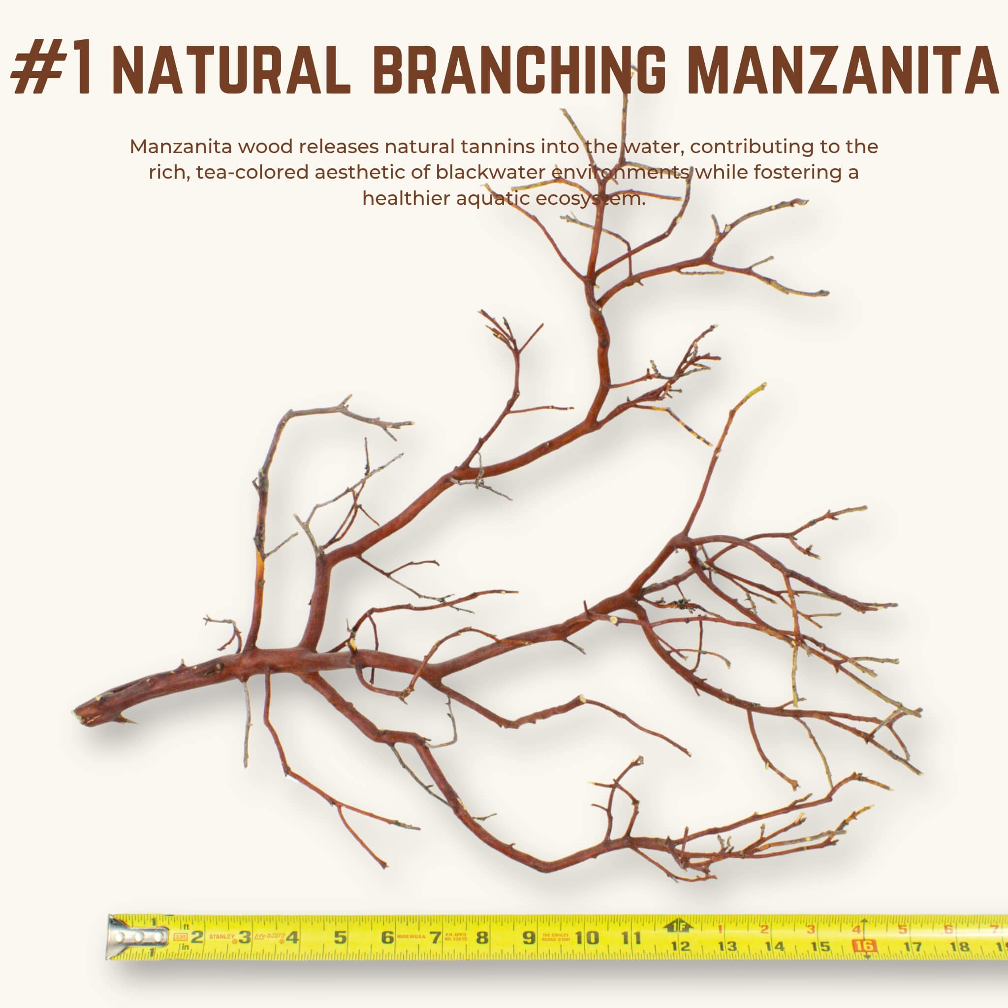 Natural Branching Manzanita | WYSIWYG Pieces