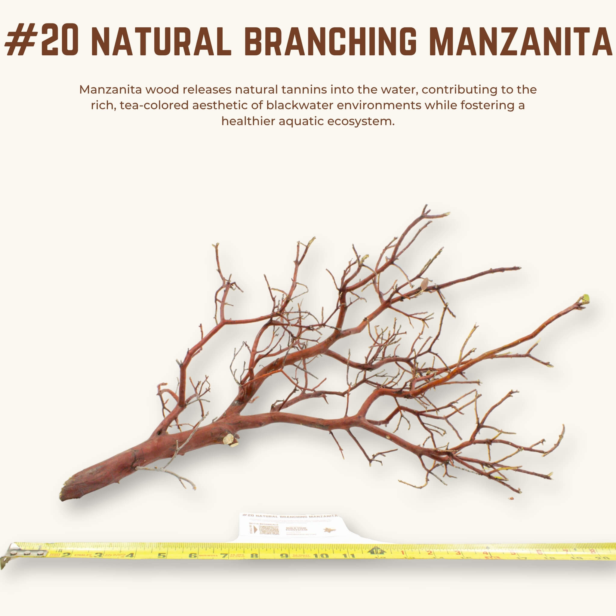 Natural Branching Manzanita | WYSIWYG Pieces