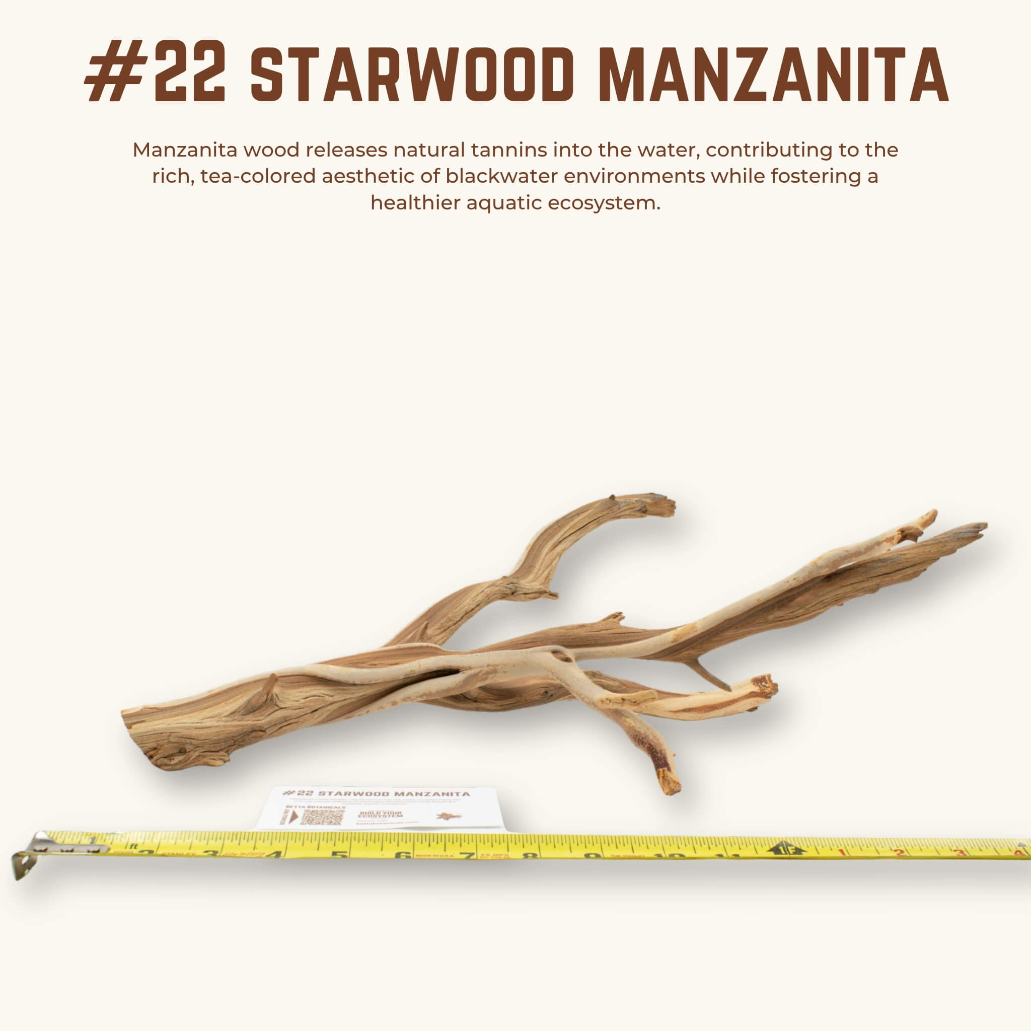 Starwood Manzanita | WYSIWYG Pieces