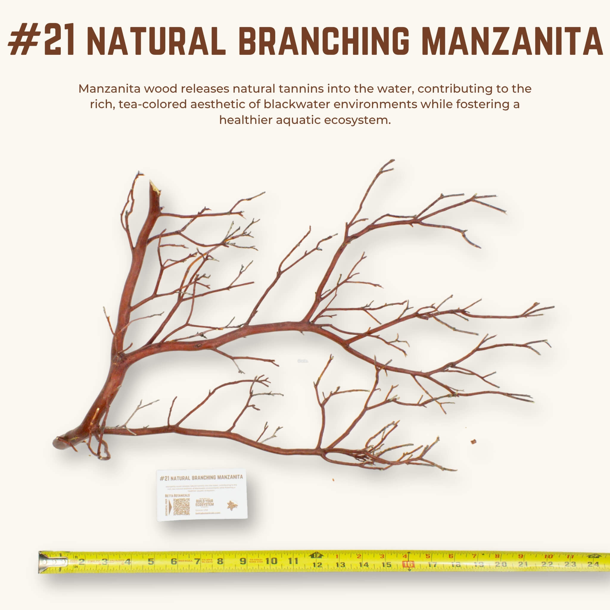 Natural Branching Manzanita | WYSIWYG Pieces