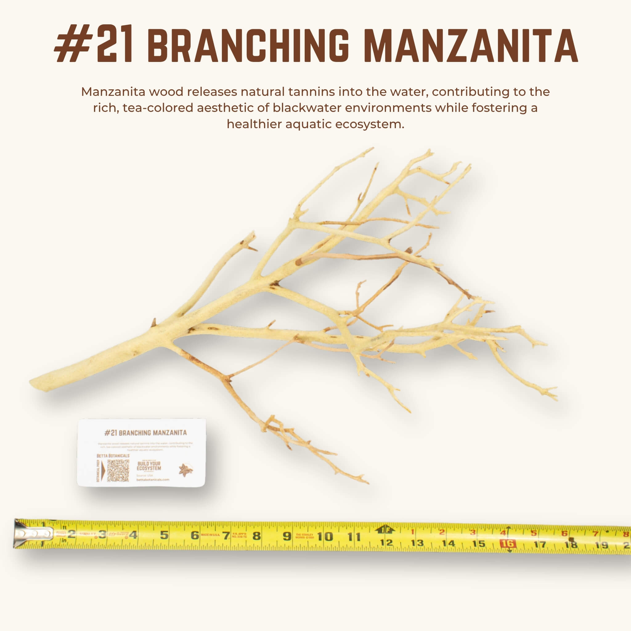 Branching Manzanita | WYSIWYG Pieces