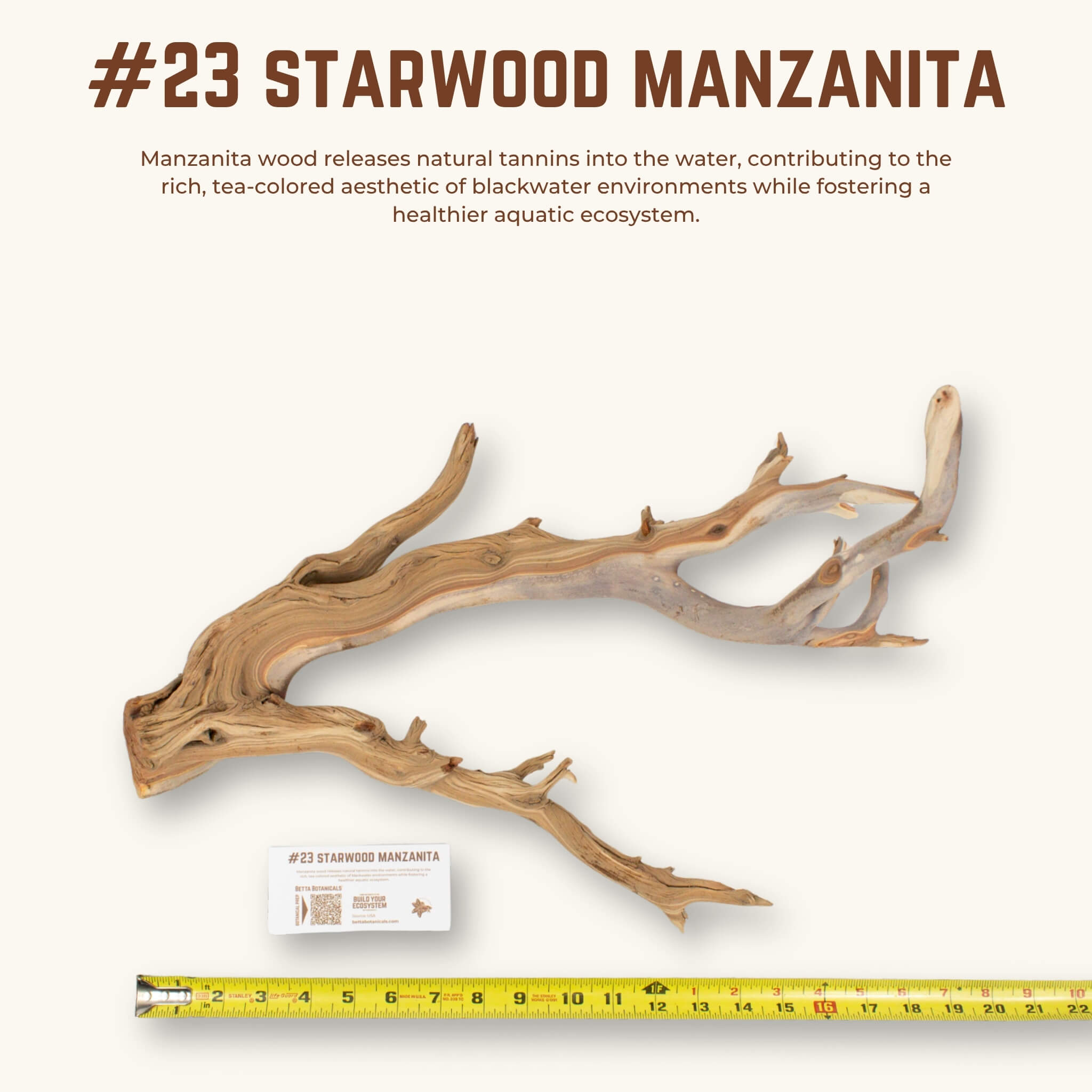 Starwood Manzanita | WYSIWYG Pieces