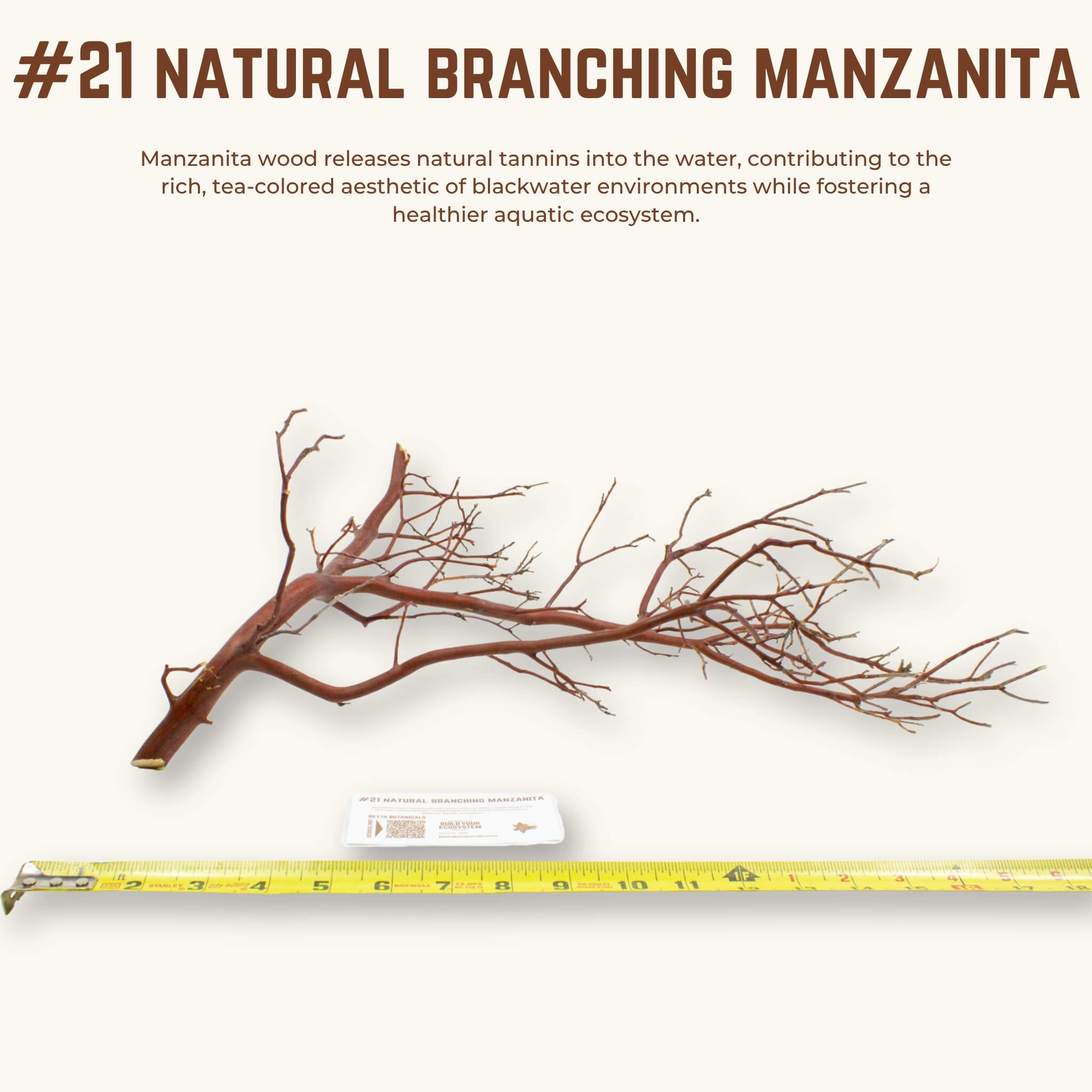 Natural Branching Manzanita | WYSIWYG Pieces
