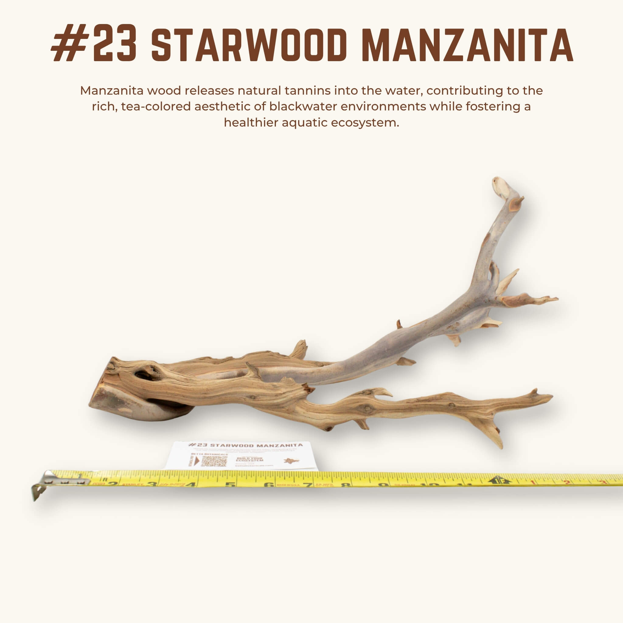 Starwood Manzanita | WYSIWYG Pieces