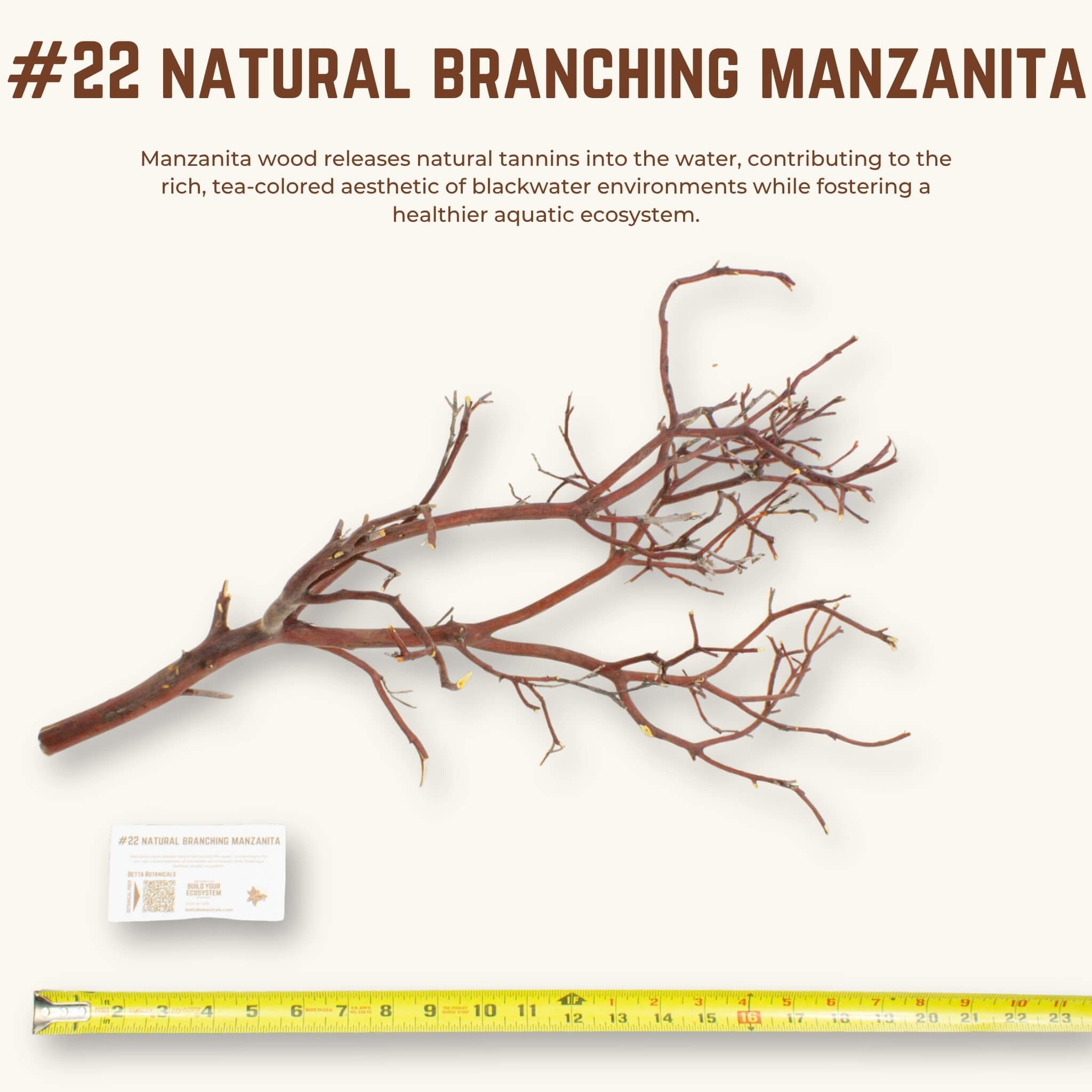 Natural Branching Manzanita | WYSIWYG Pieces