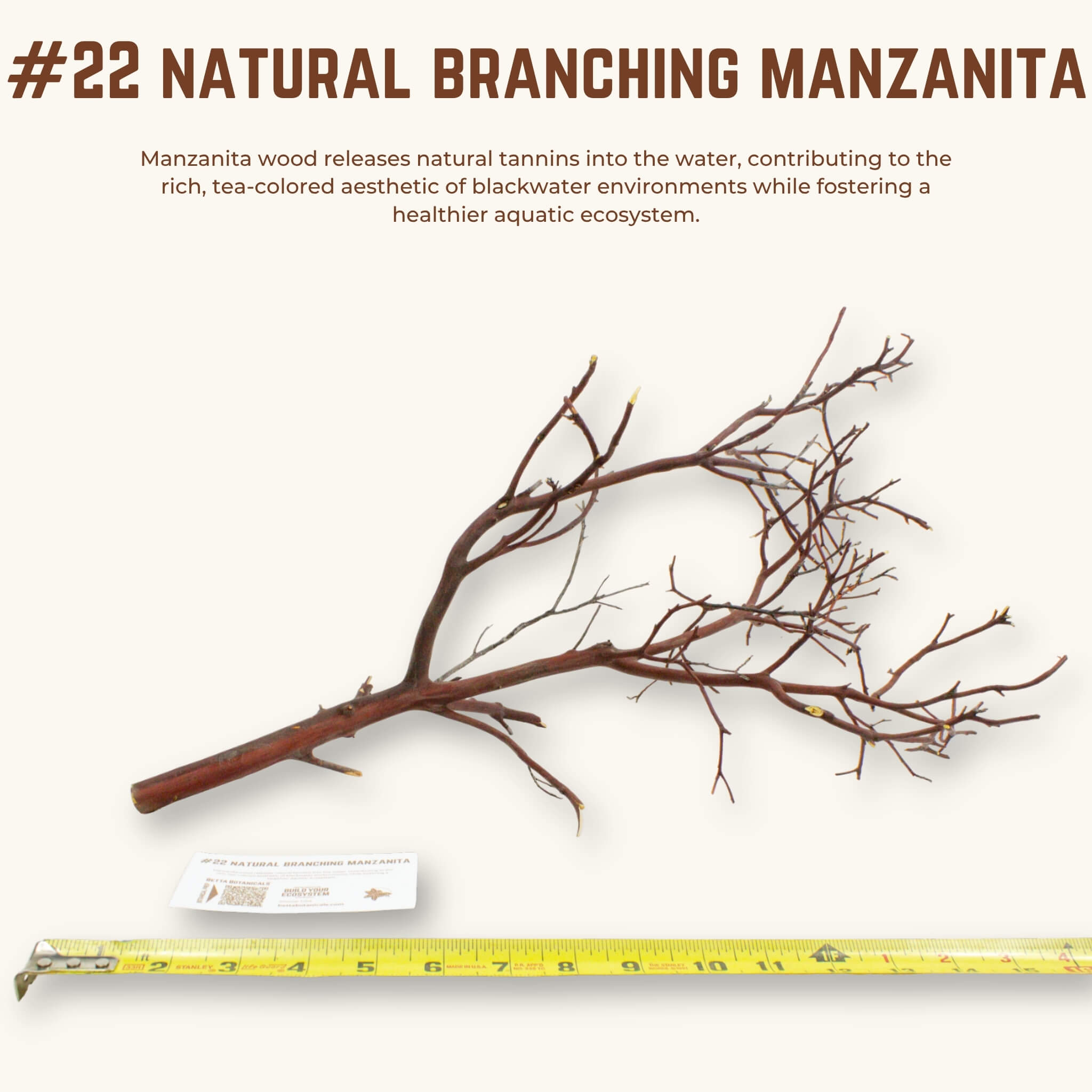 Natural Branching Manzanita | WYSIWYG Pieces