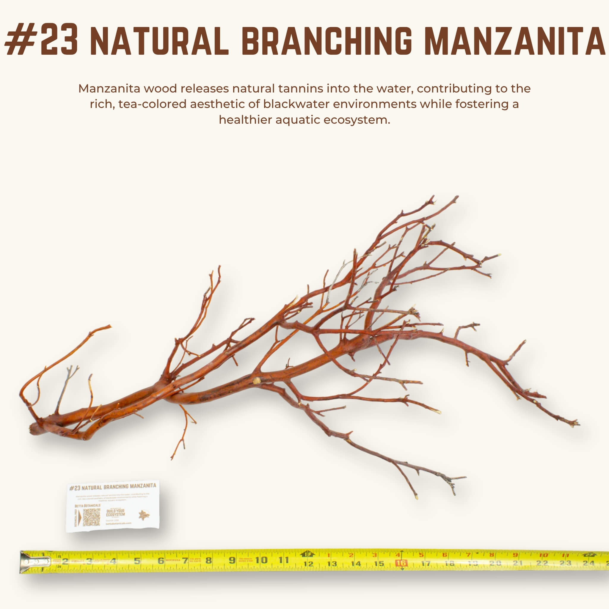 Natural Branching Manzanita | WYSIWYG Pieces