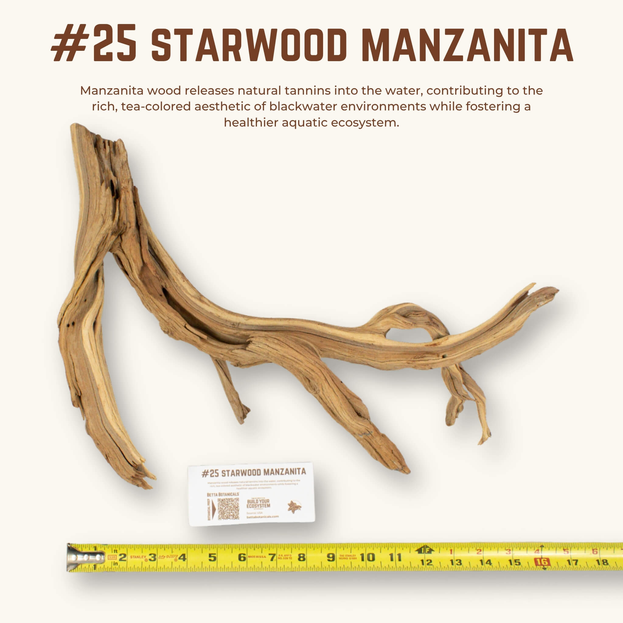 Starwood Manzanita | WYSIWYG Pieces