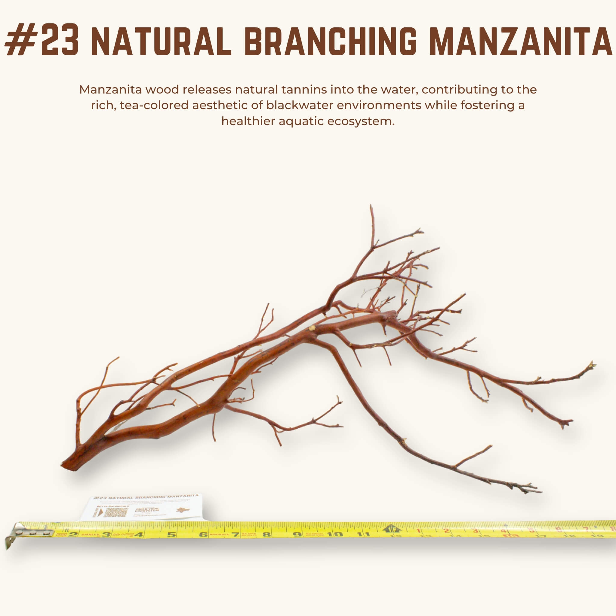 Natural Branching Manzanita | WYSIWYG Pieces