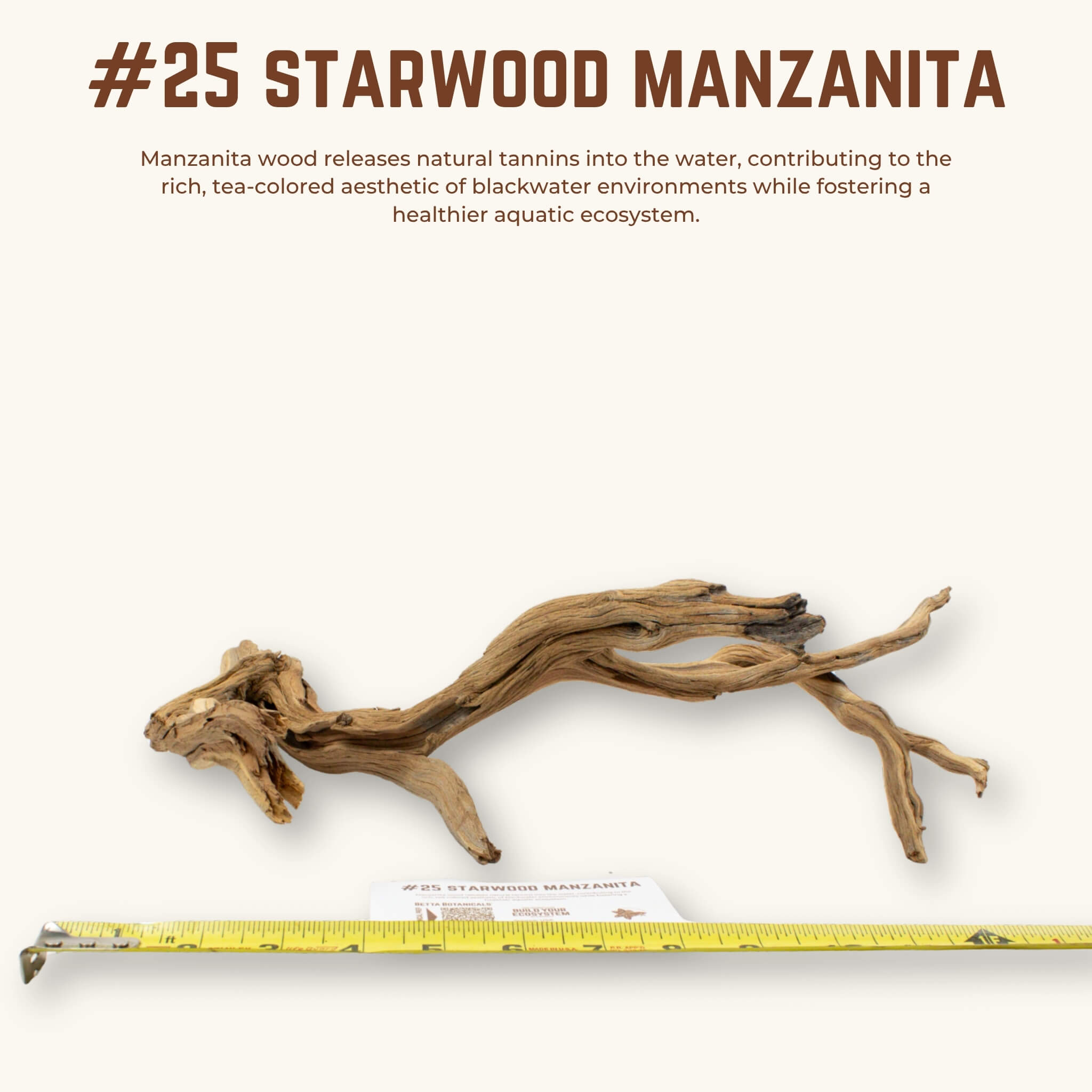 Starwood Manzanita | WYSIWYG Pieces