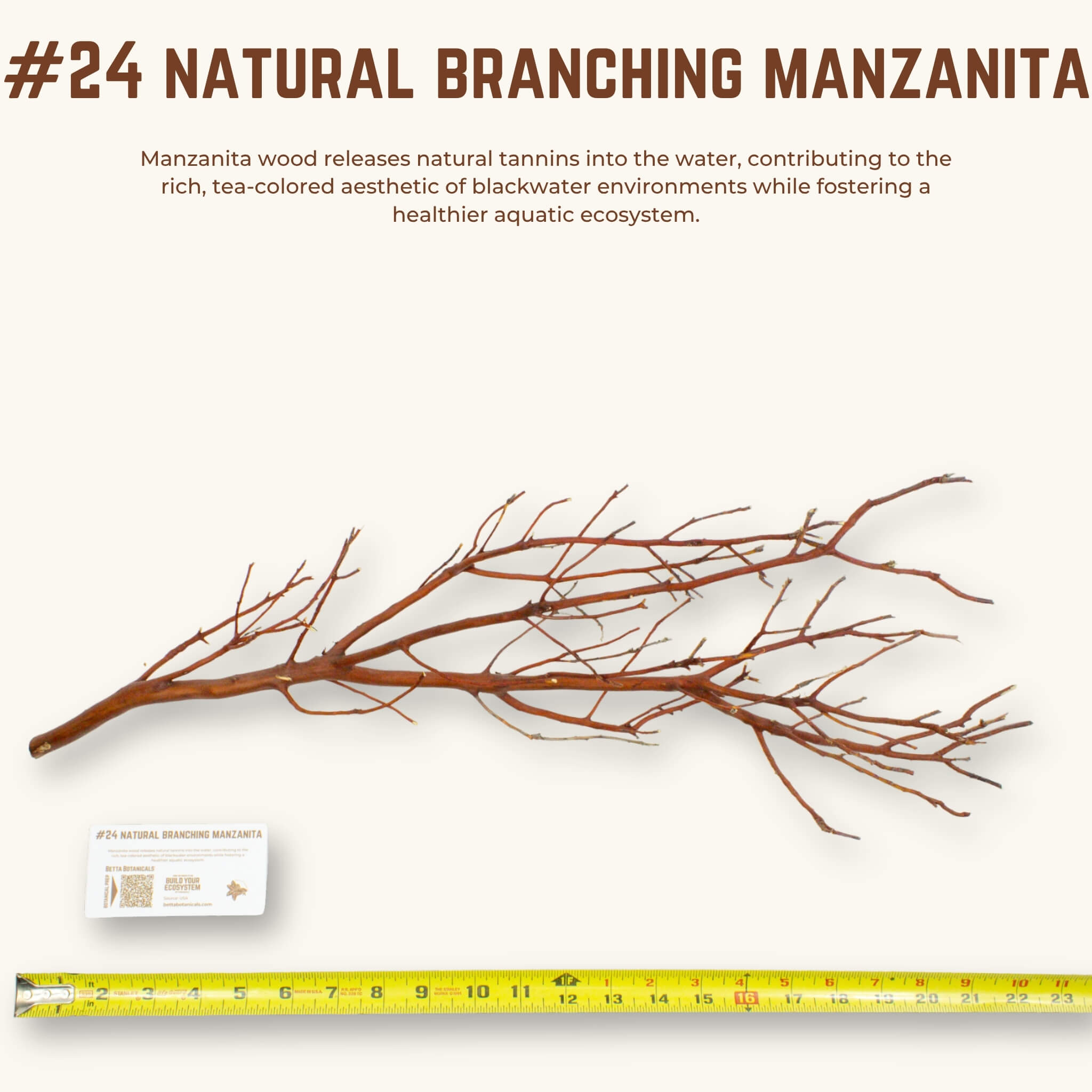 Natural Branching Manzanita | WYSIWYG Pieces