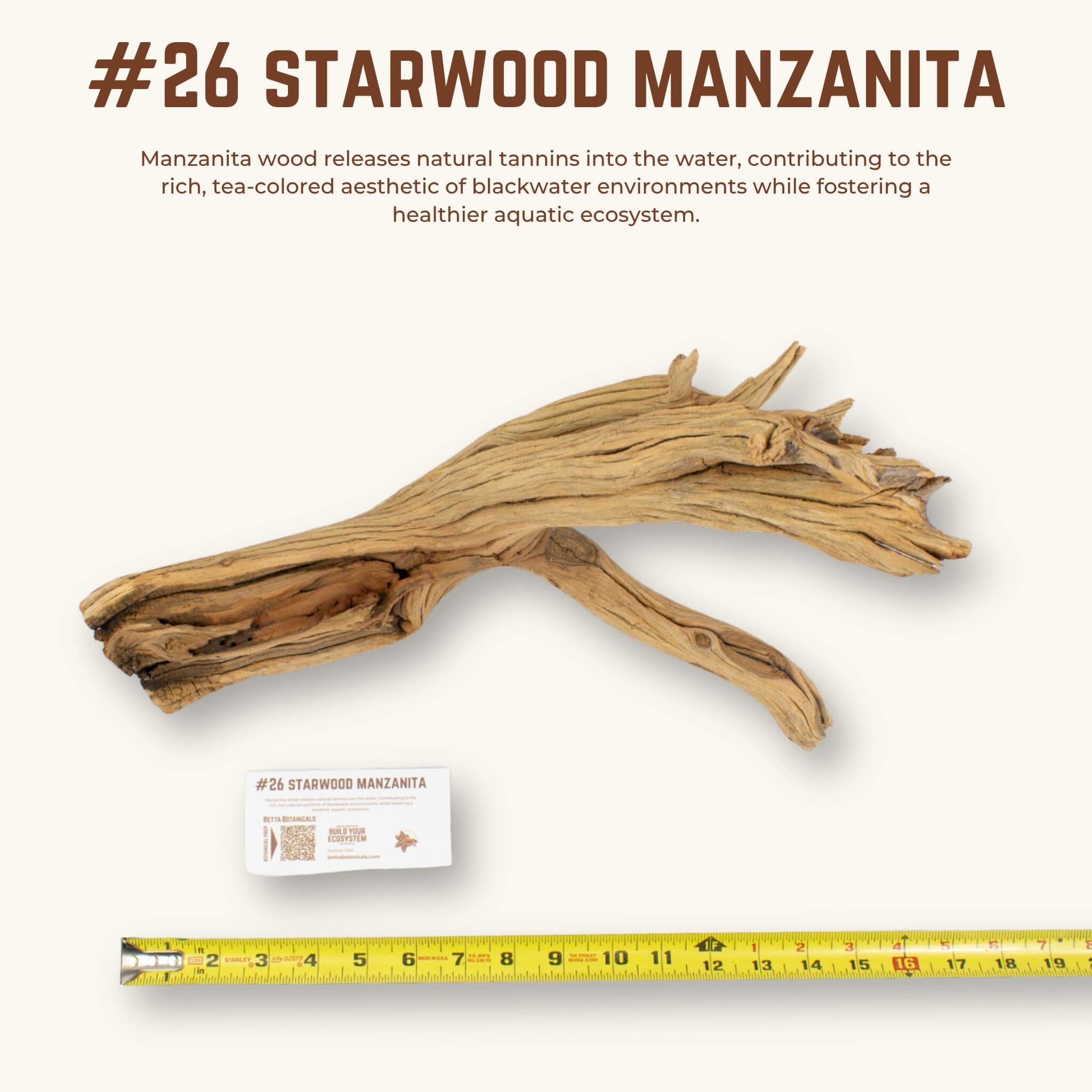 Starwood Manzanita | WYSIWYG Pieces