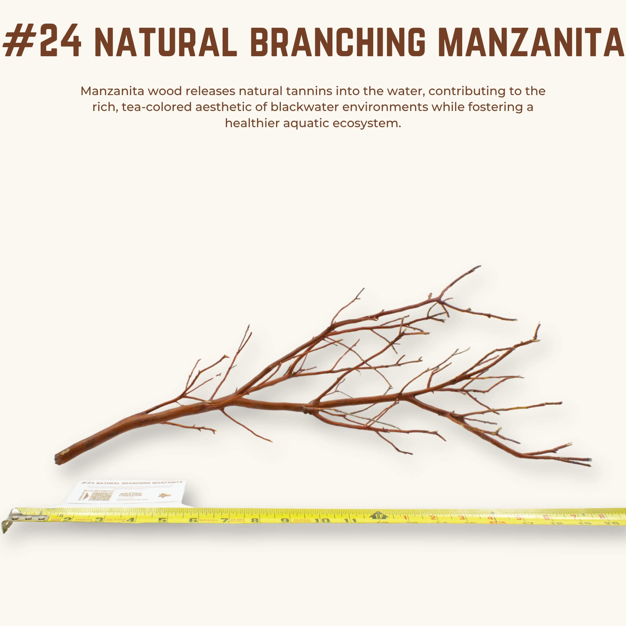 Natural Branching Manzanita | WYSIWYG Pieces