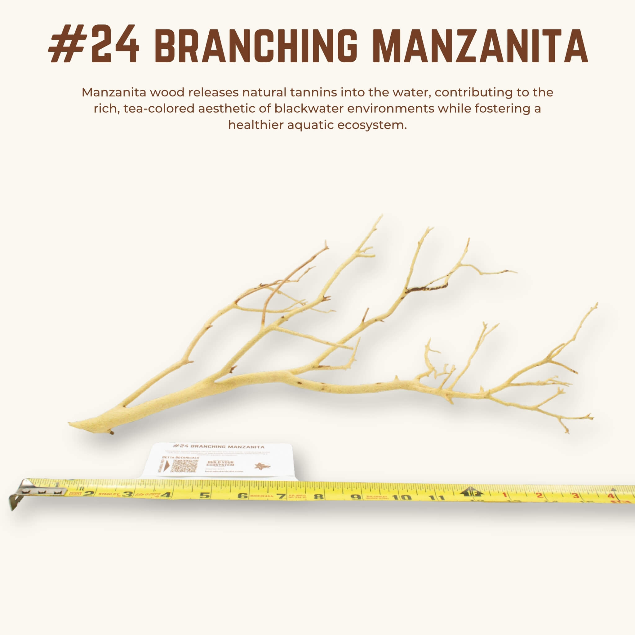 Branching Manzanita | WYSIWYG Pieces