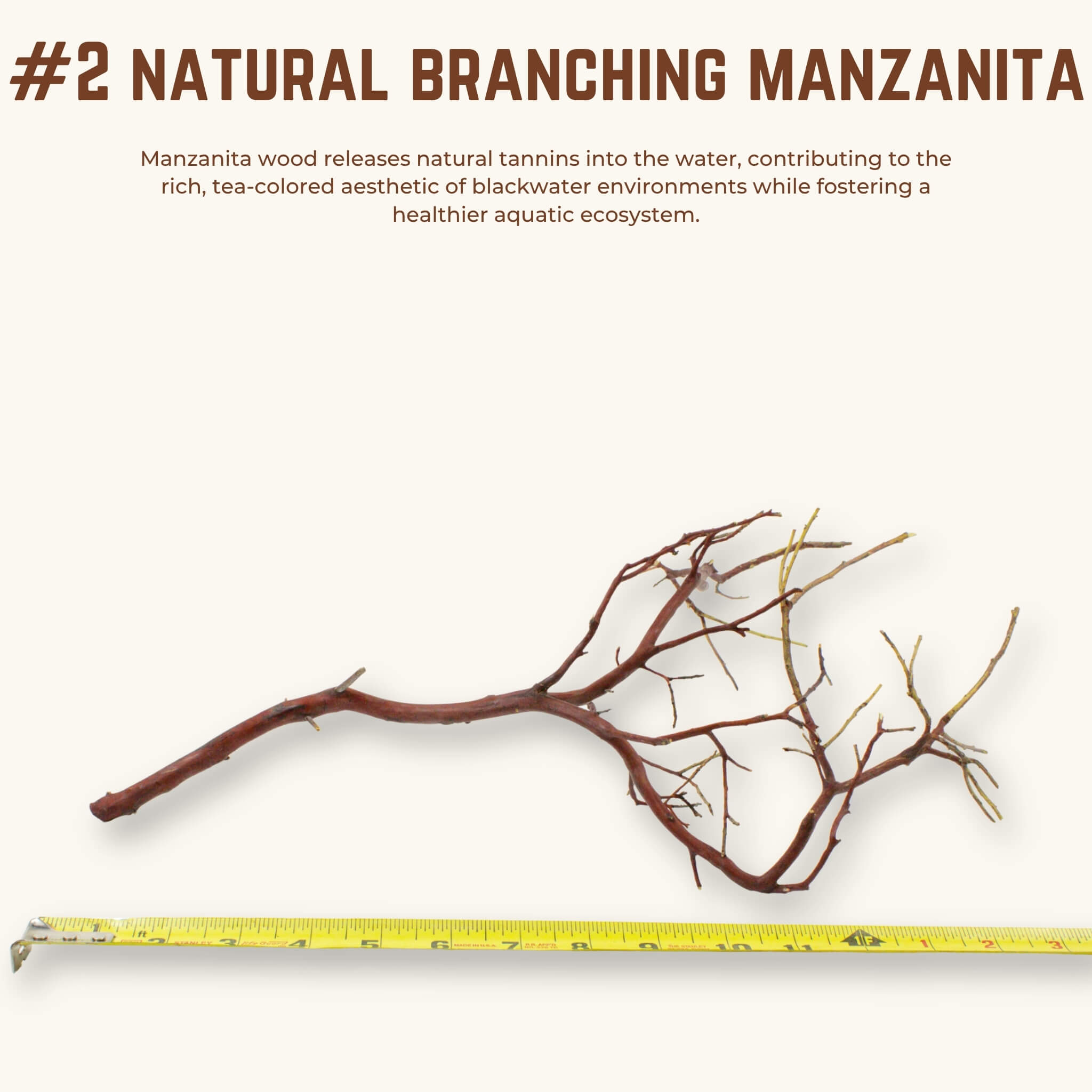 Natural Branching Manzanita | WYSIWYG Pieces
