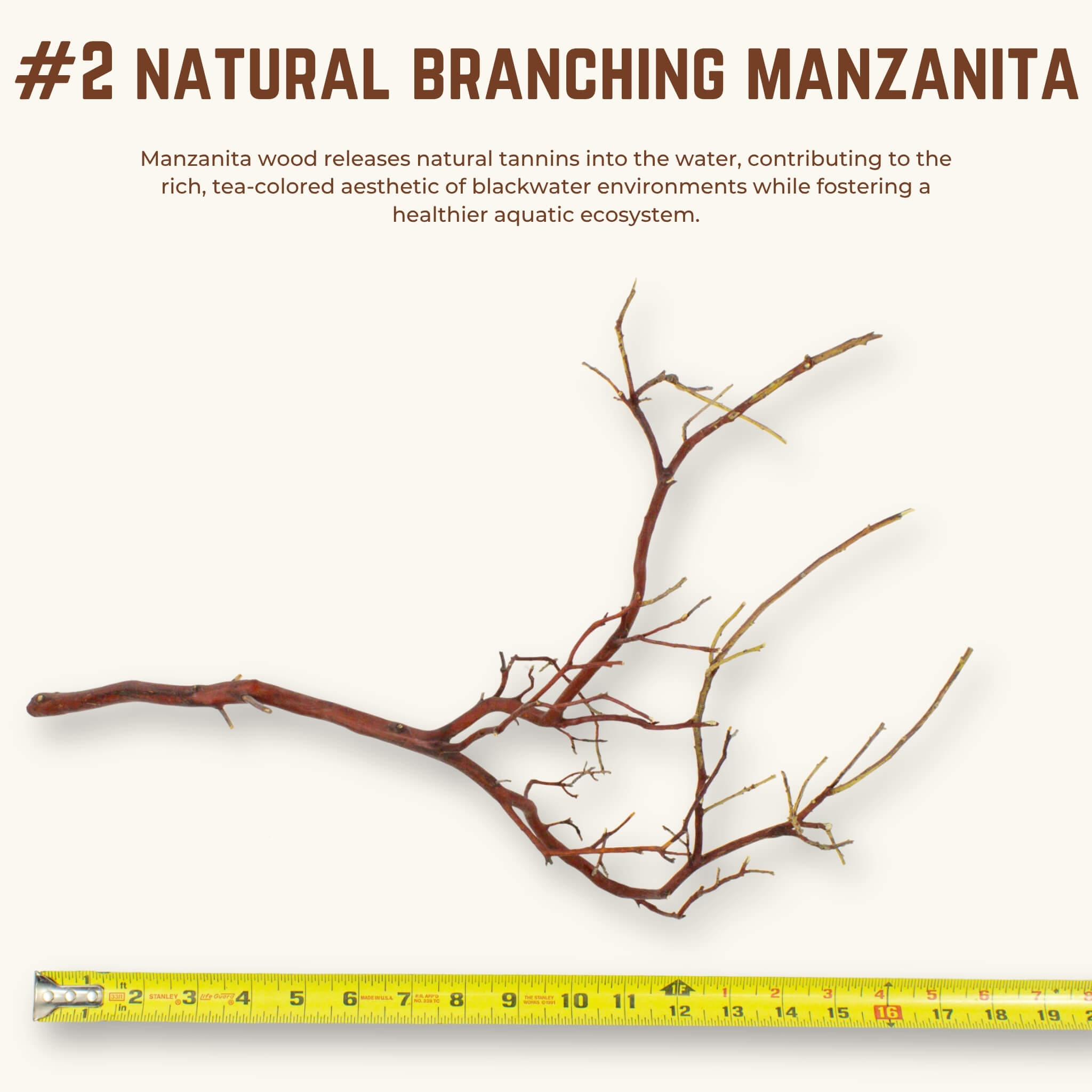 Natural Branching Manzanita | WYSIWYG Pieces