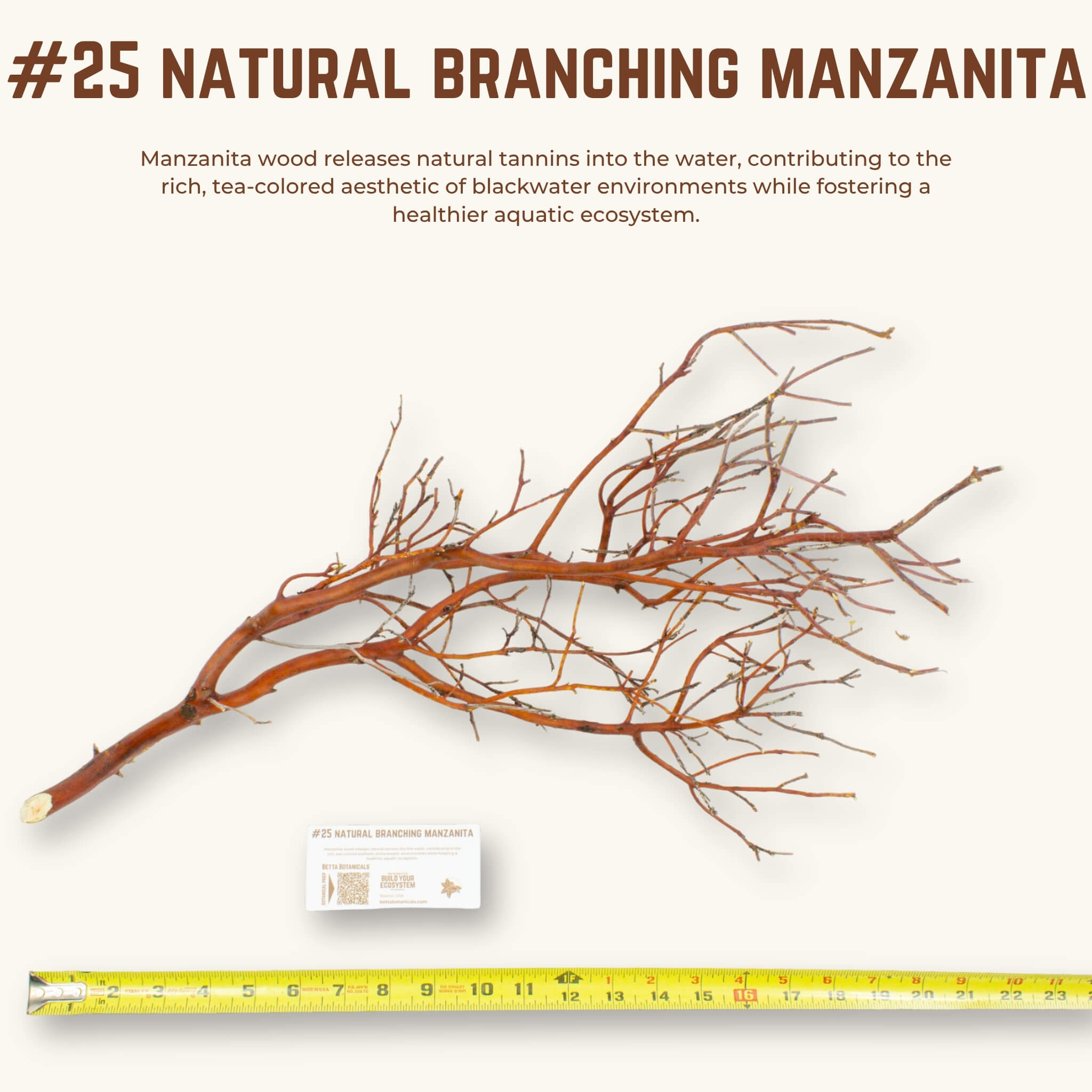 Natural Branching Manzanita | WYSIWYG Pieces