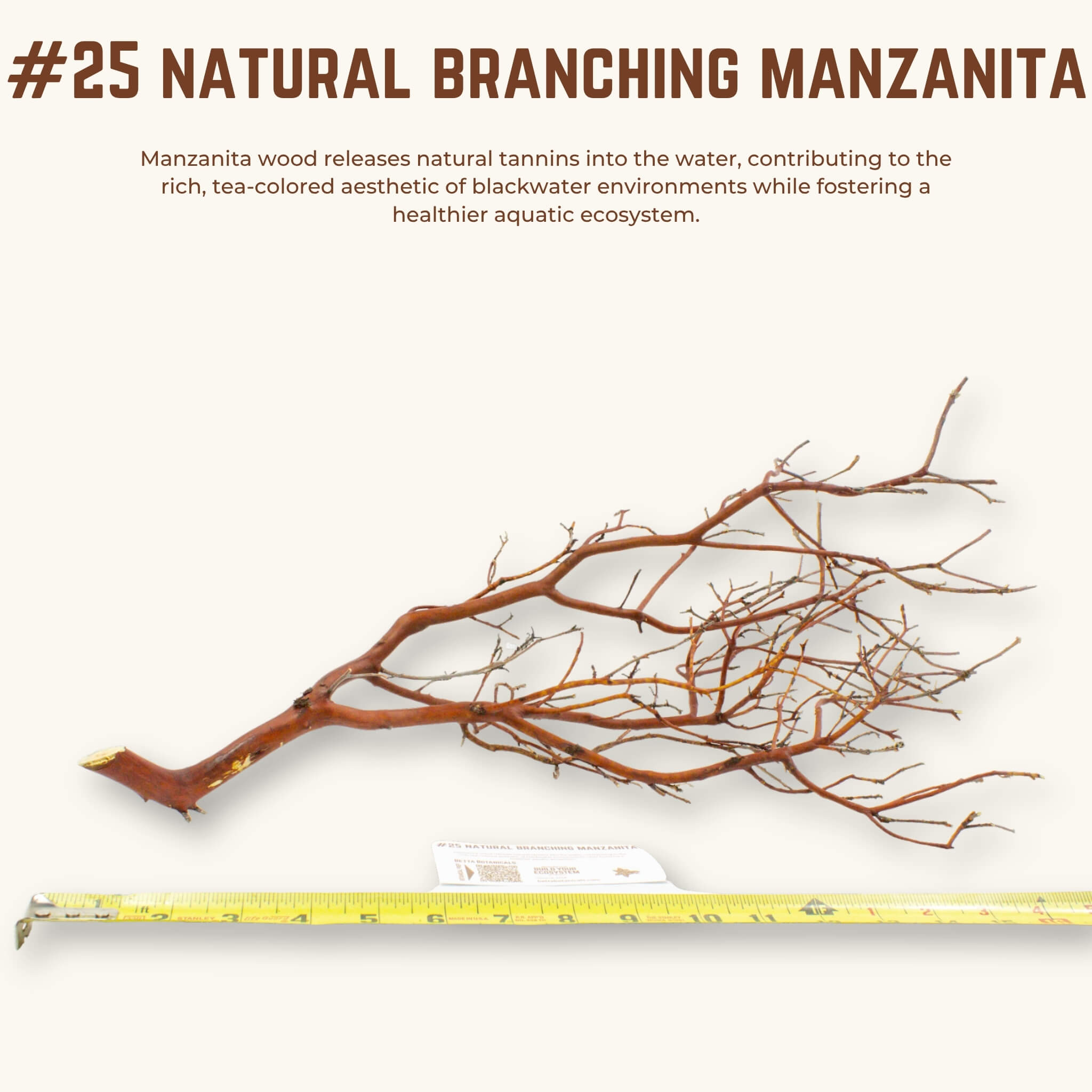 Natural Branching Manzanita | WYSIWYG Pieces