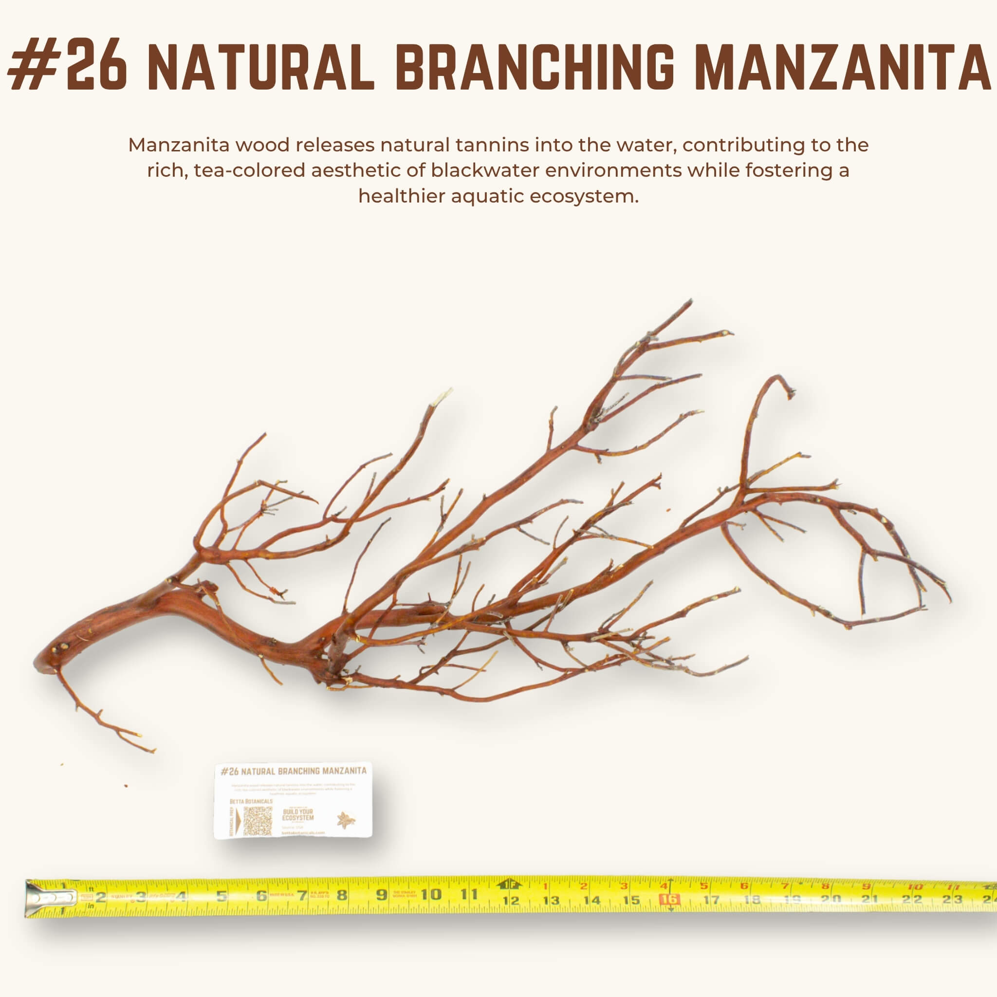 Natural Branching Manzanita | WYSIWYG Pieces