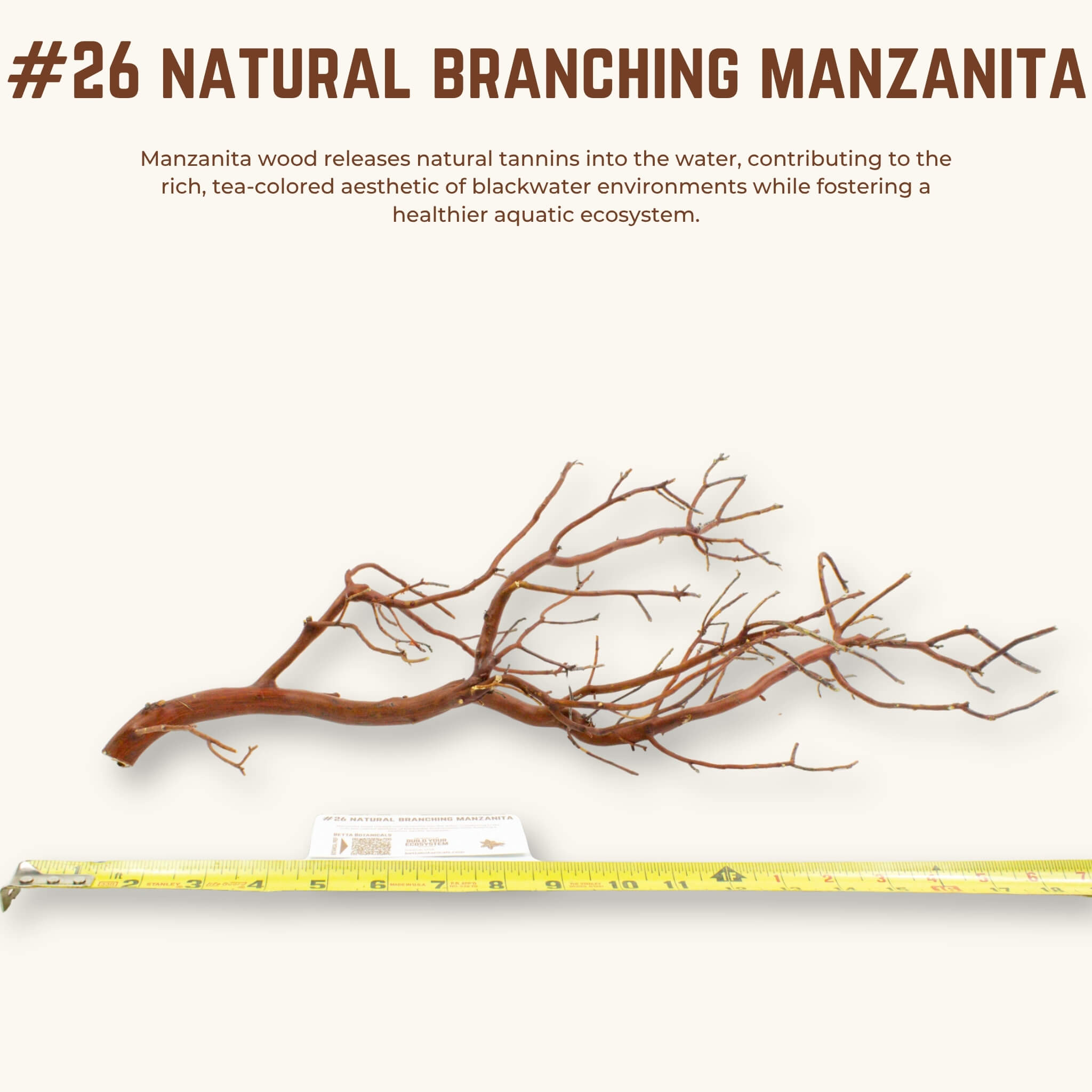 Natural Branching Manzanita | WYSIWYG Pieces