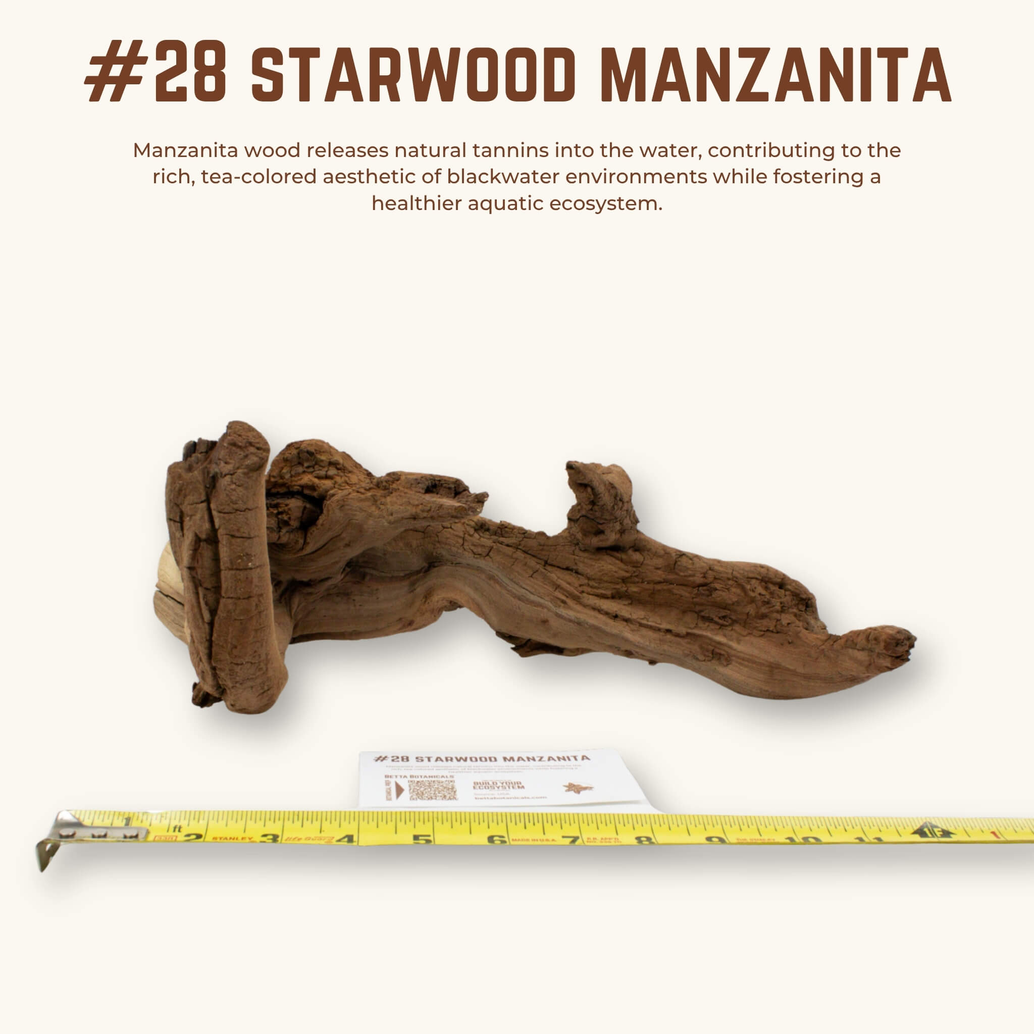 Starwood Manzanita | WYSIWYG Pieces