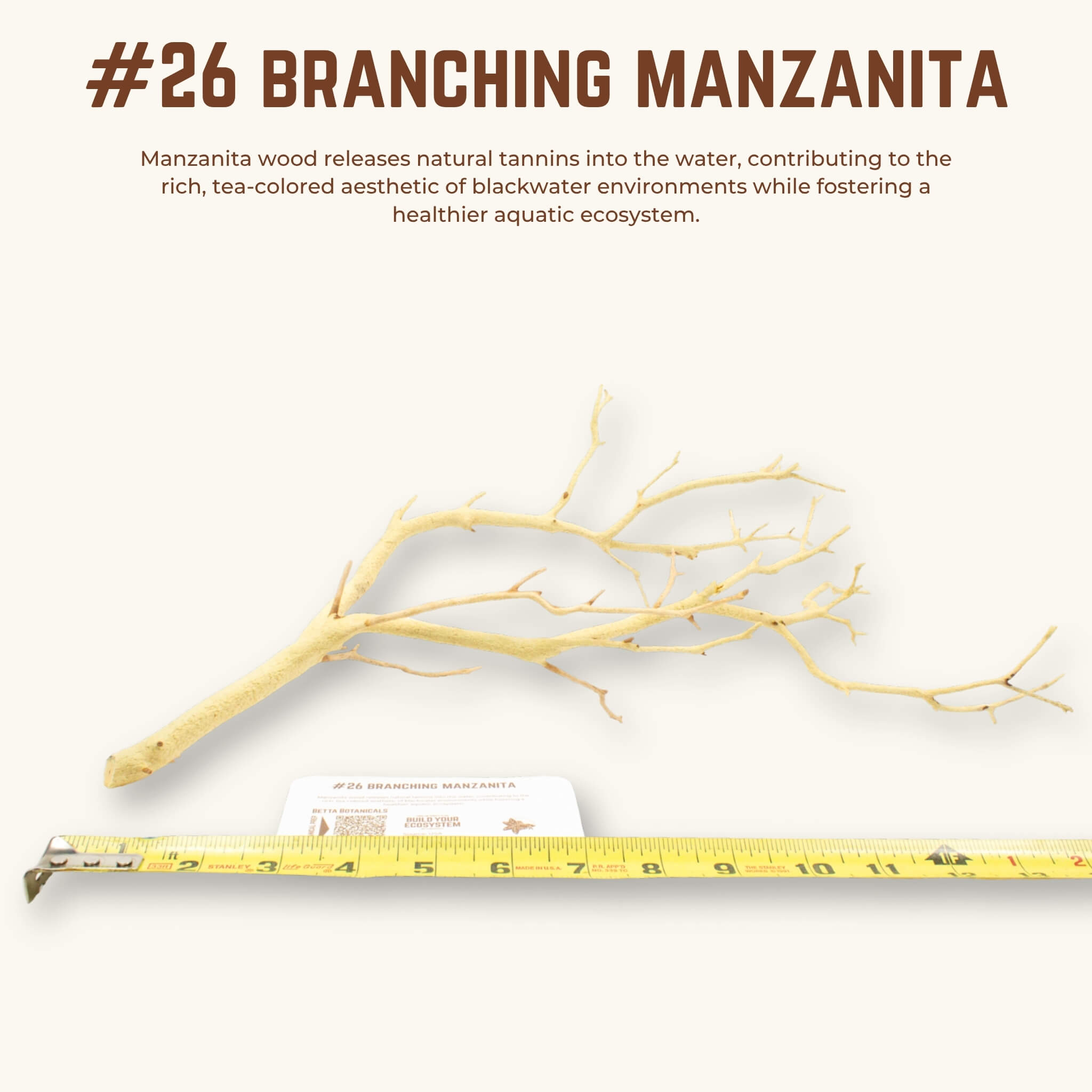 Branching Manzanita | WYSIWYG Pieces