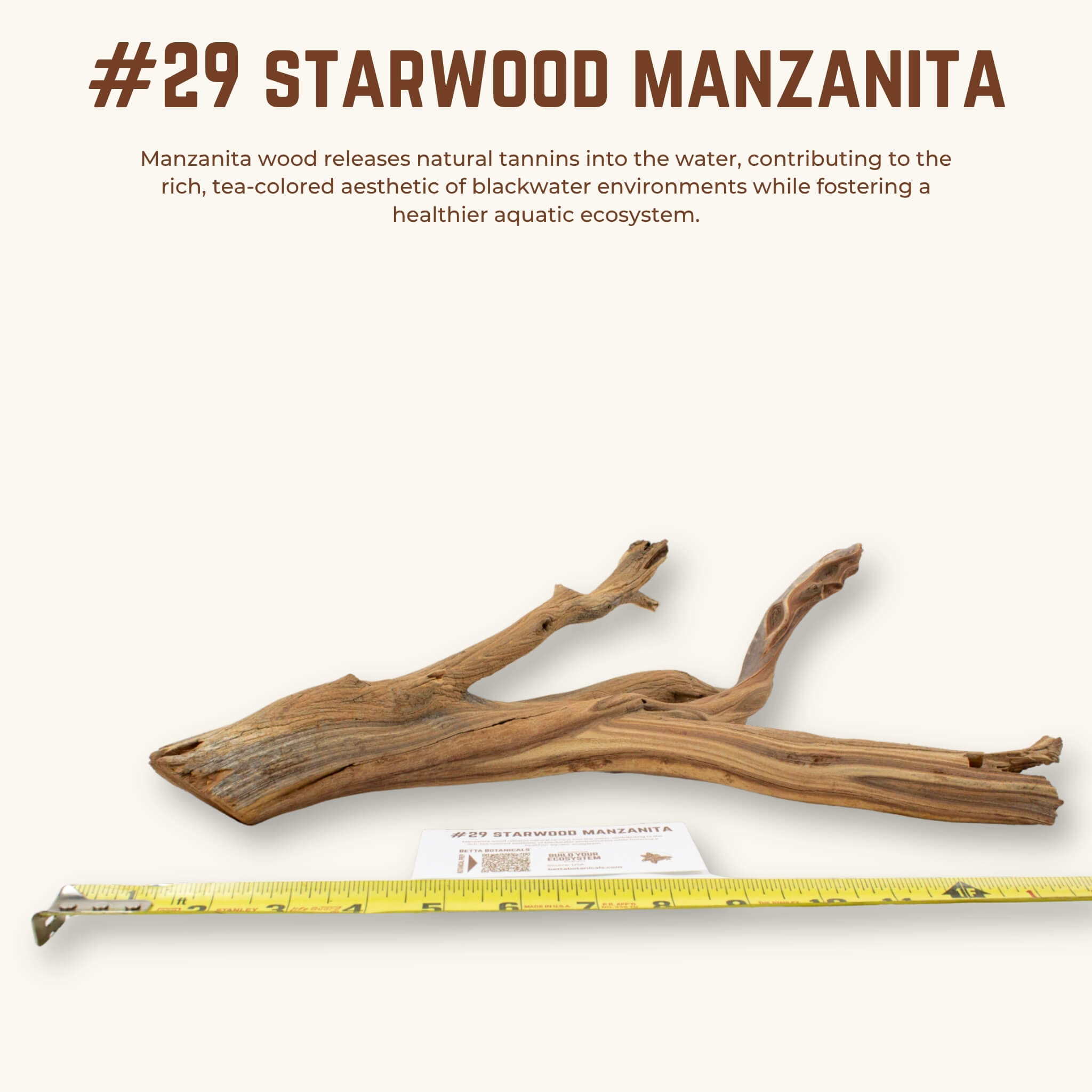 Starwood Manzanita | WYSIWYG Pieces
