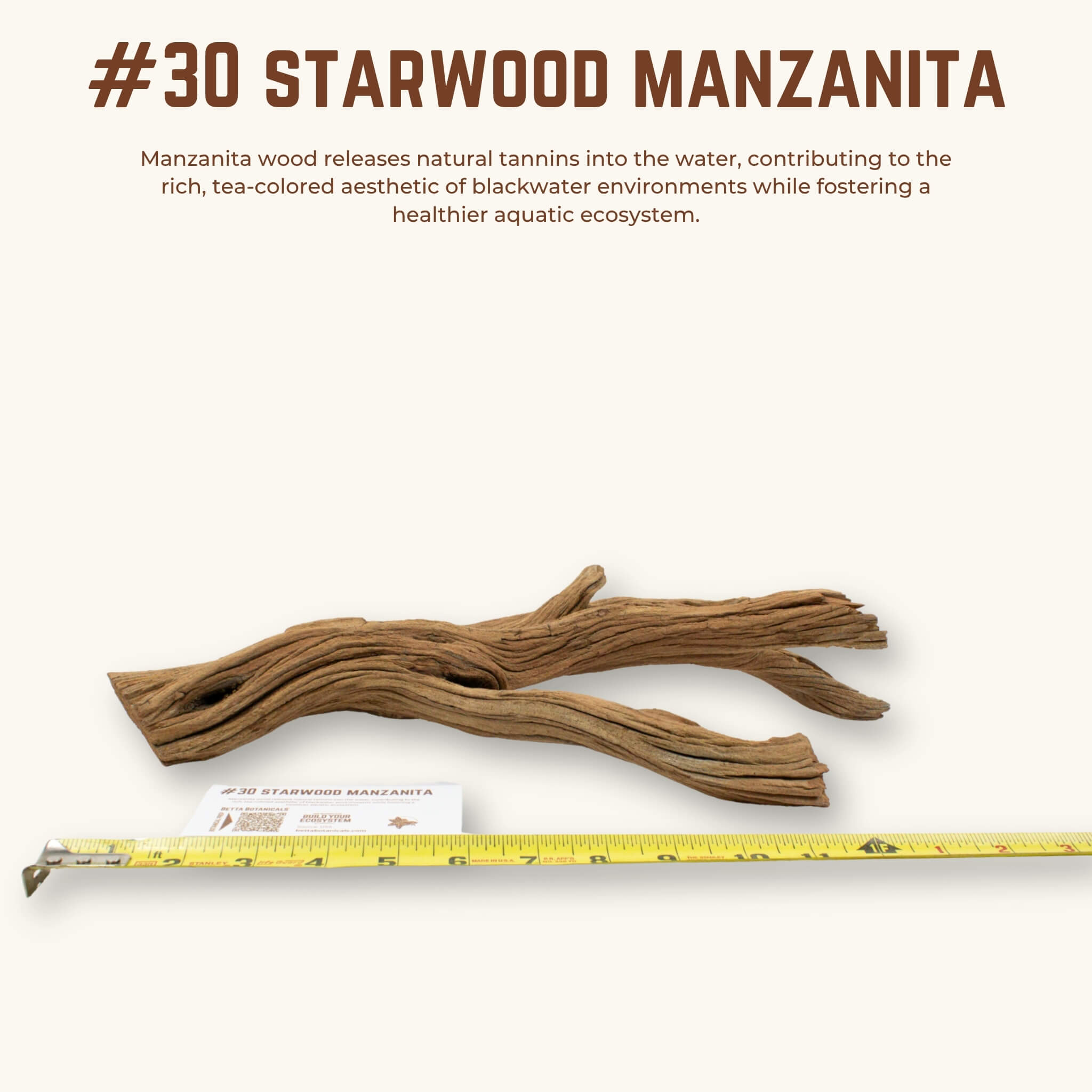 Starwood Manzanita | WYSIWYG Pieces