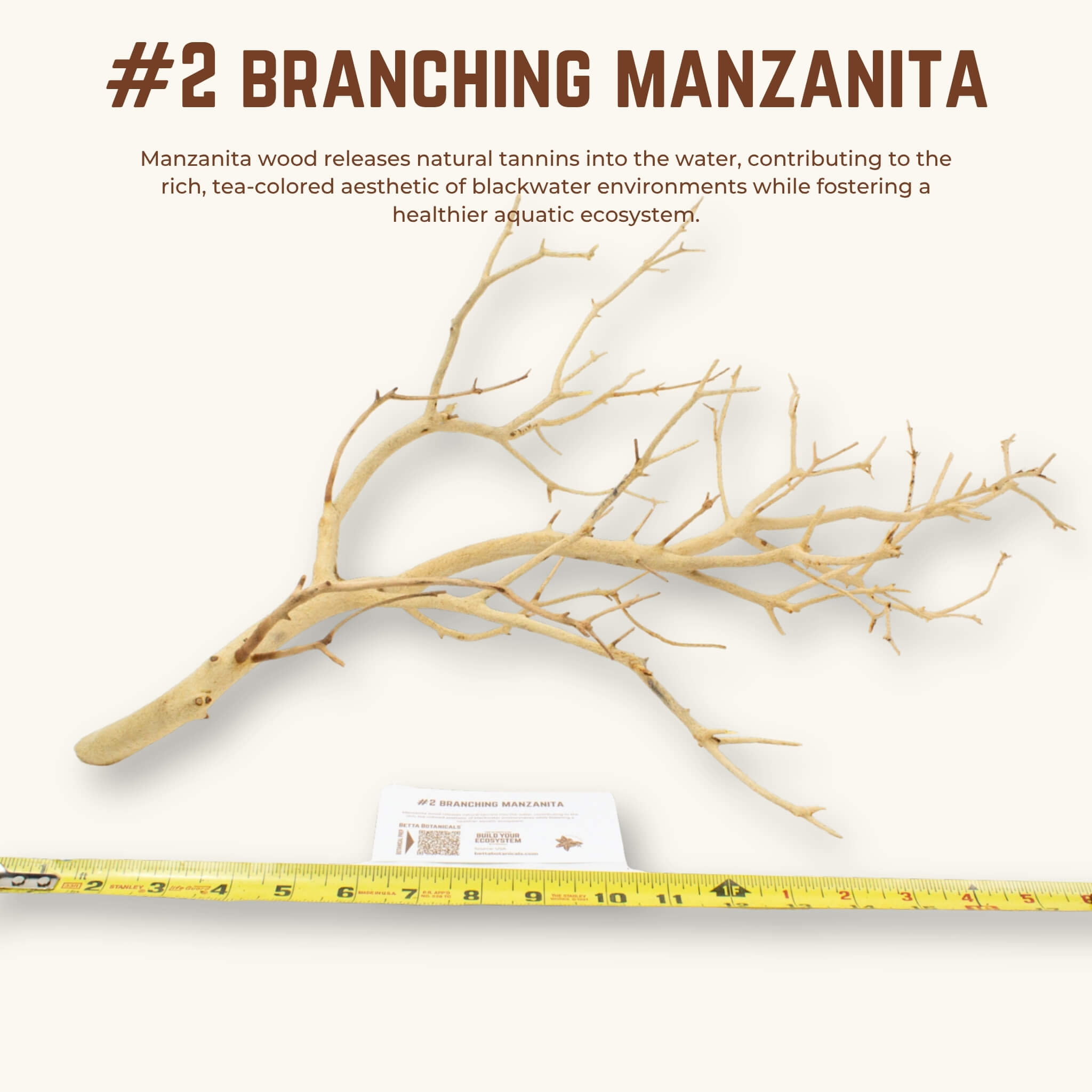 Branching Manzanita | WYSIWYG Pieces