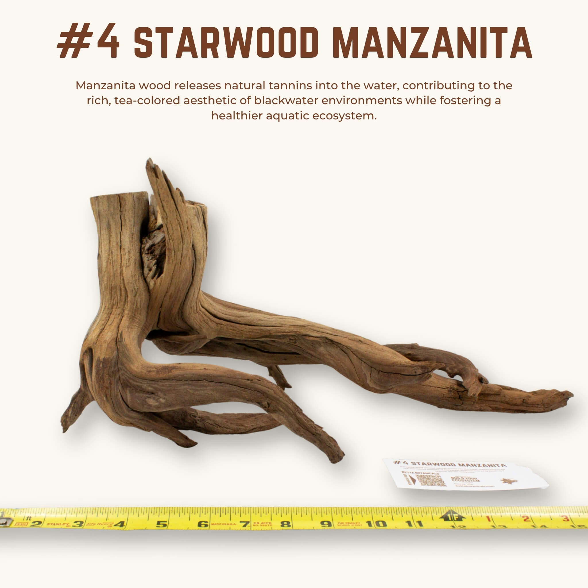 Starwood Manzanita | WYSIWYG Pieces