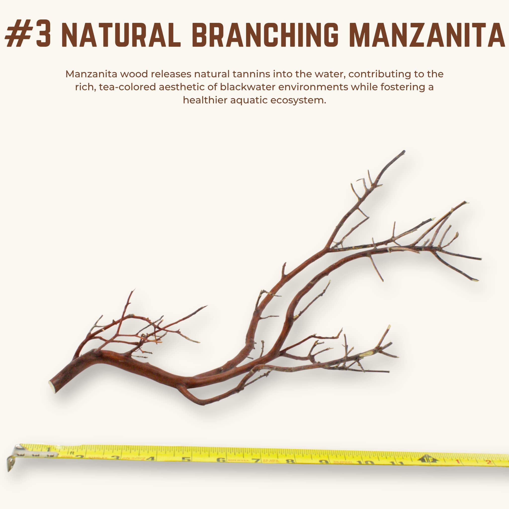 Natural Branching Manzanita | WYSIWYG Pieces