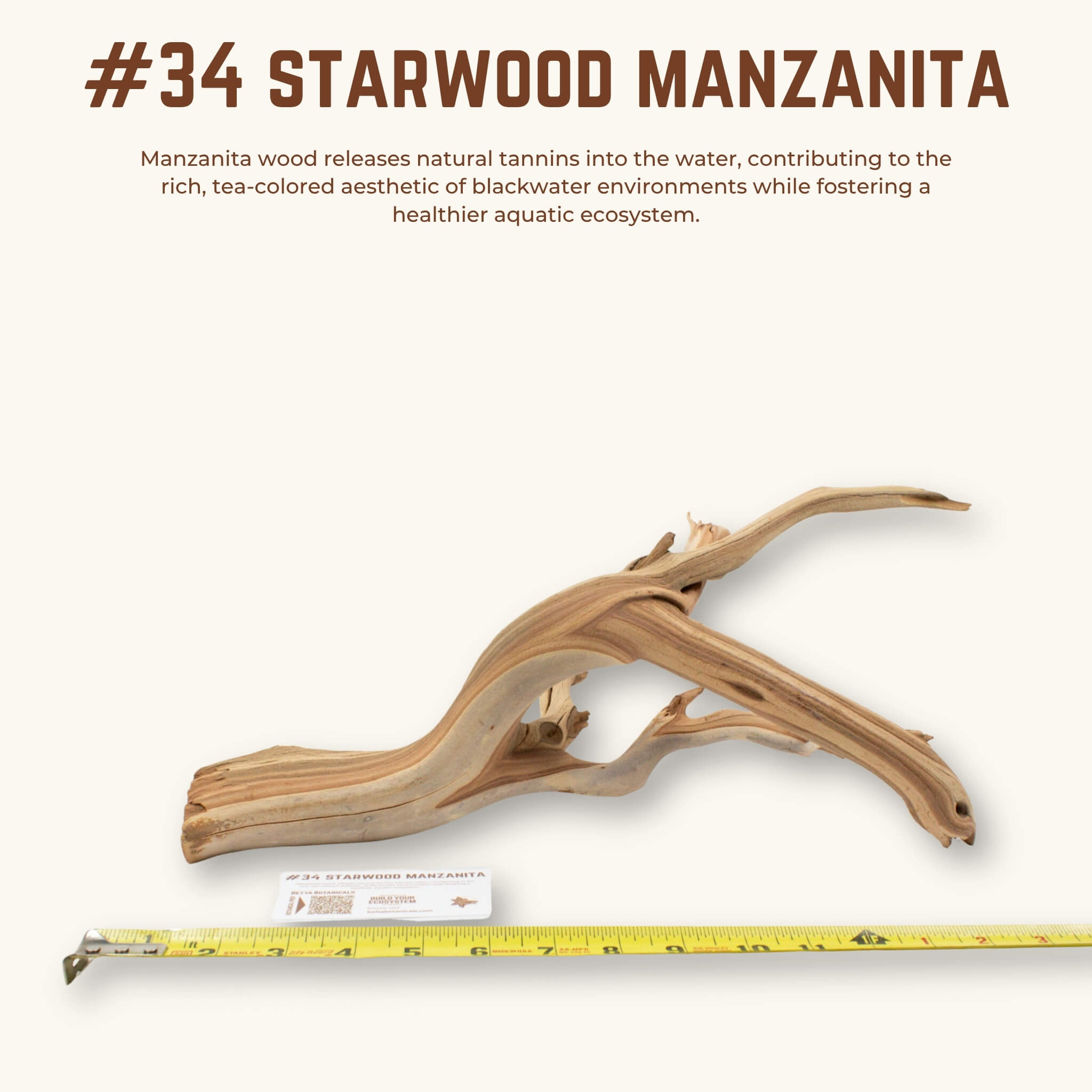 Starwood Manzanita | WYSIWYG Pieces