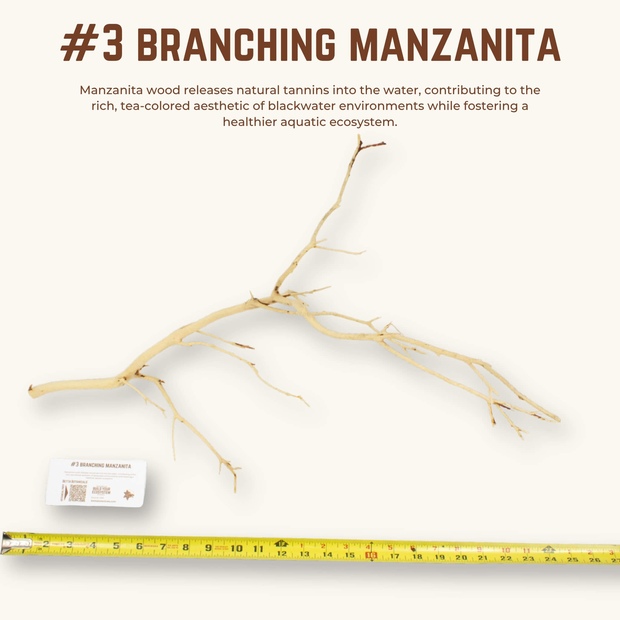 Branching Manzanita | WYSIWYG Pieces