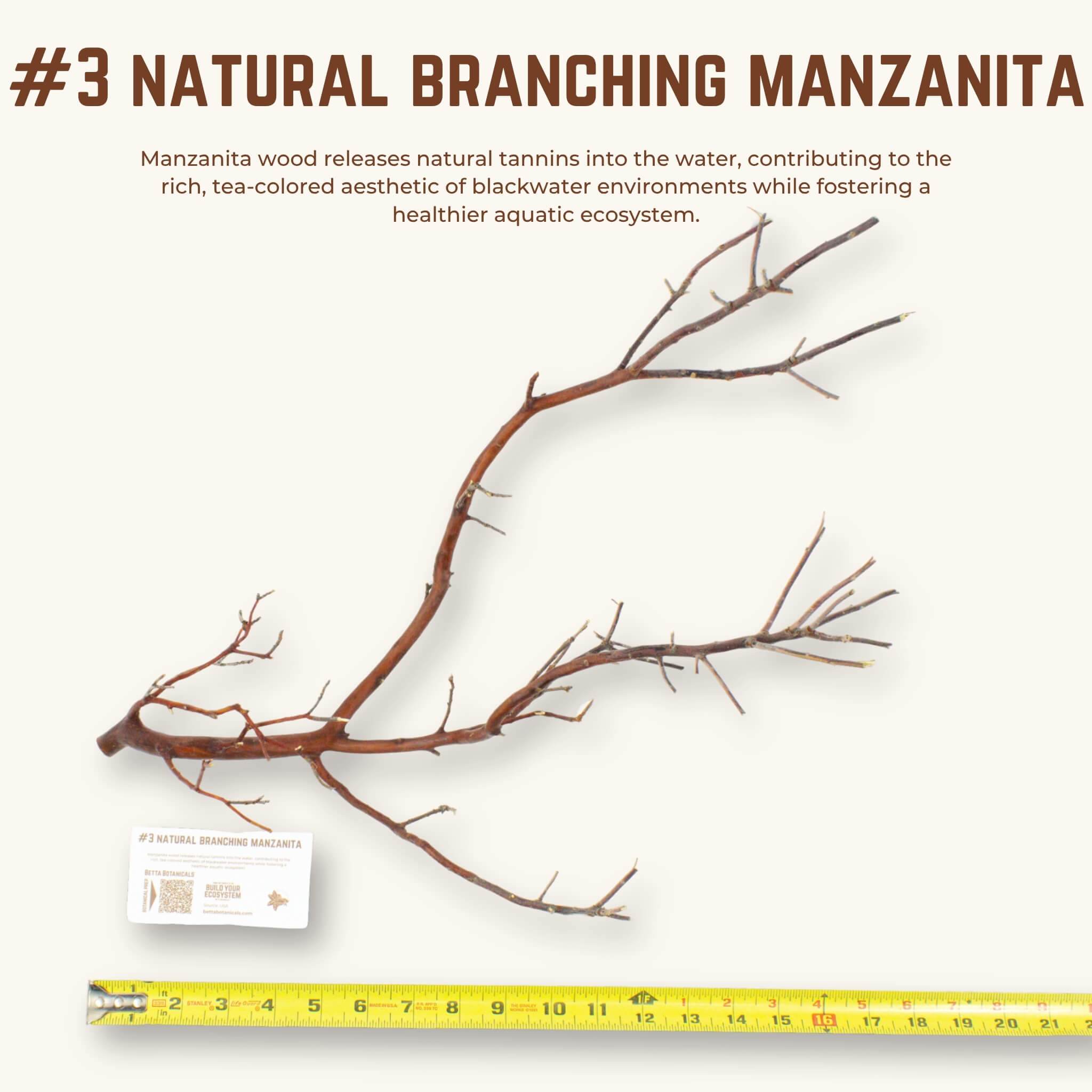 Natural Branching Manzanita | WYSIWYG Pieces