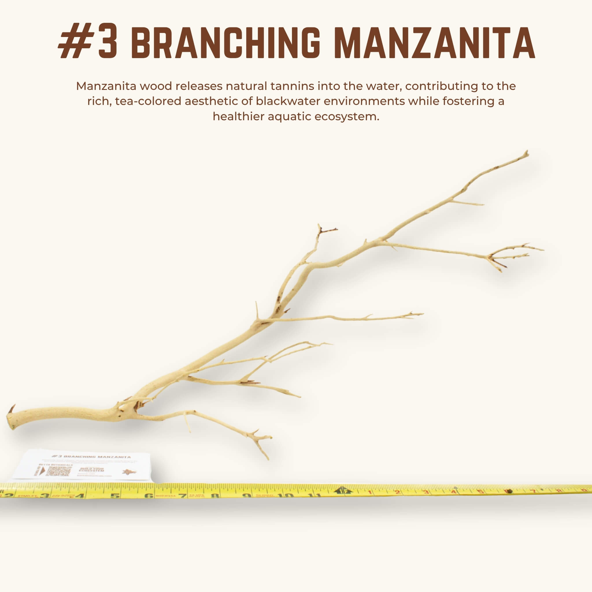 Branching Manzanita | WYSIWYG Pieces