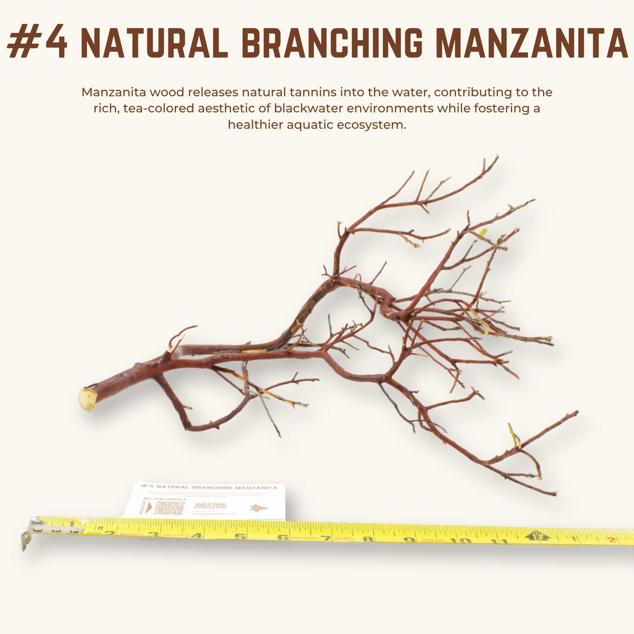 Natural Branching Manzanita | WYSIWYG Pieces