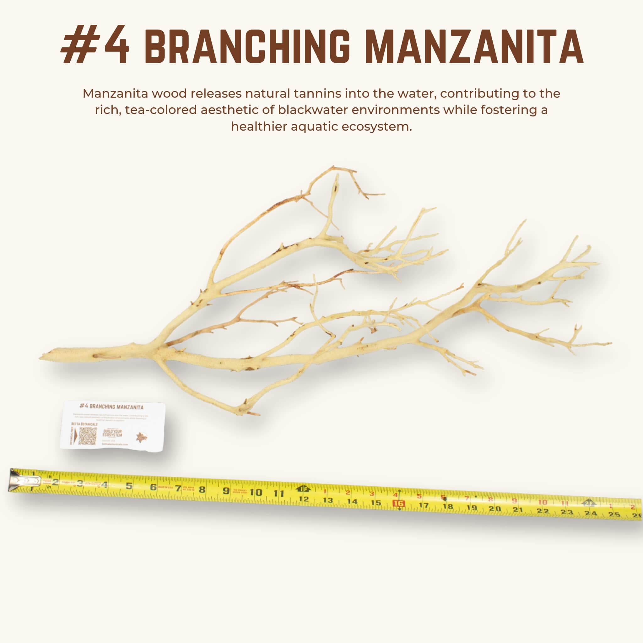 Branching Manzanita | WYSIWYG Pieces