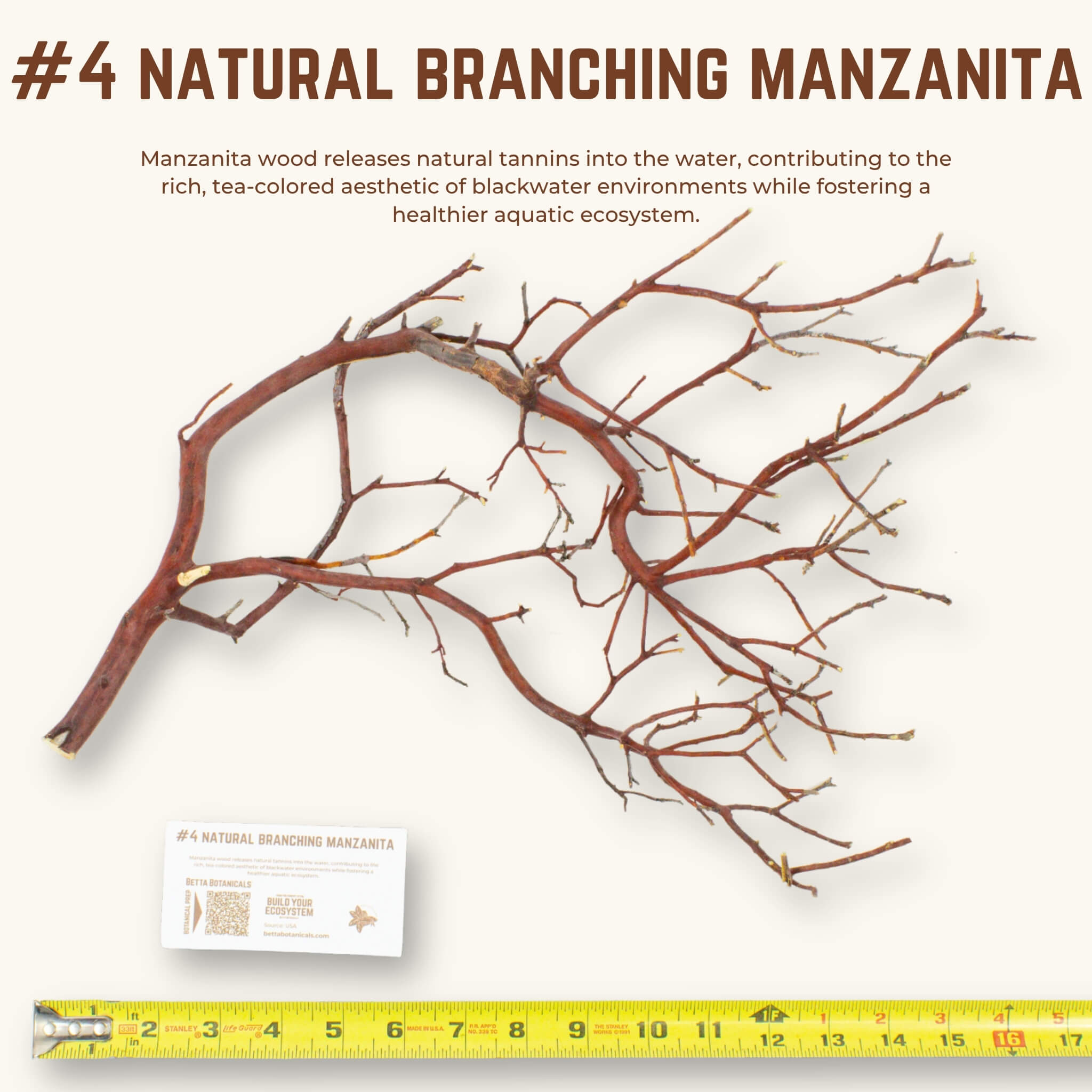 Natural Branching Manzanita | WYSIWYG Pieces