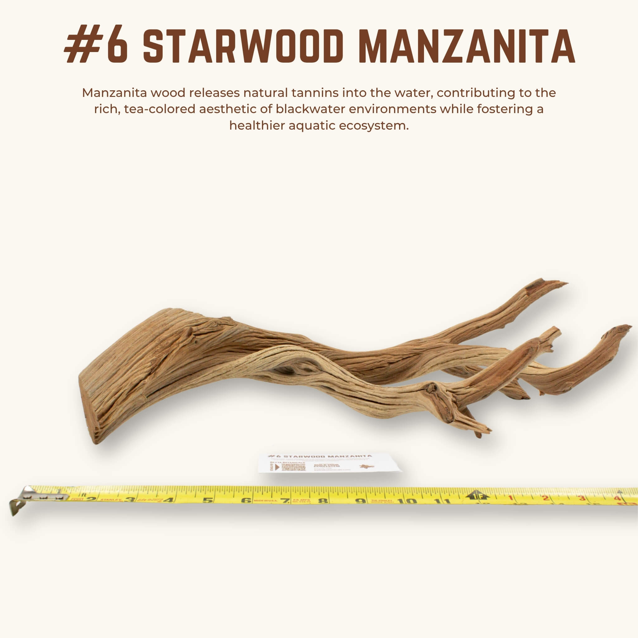 Starwood Manzanita | WYSIWYG Pieces