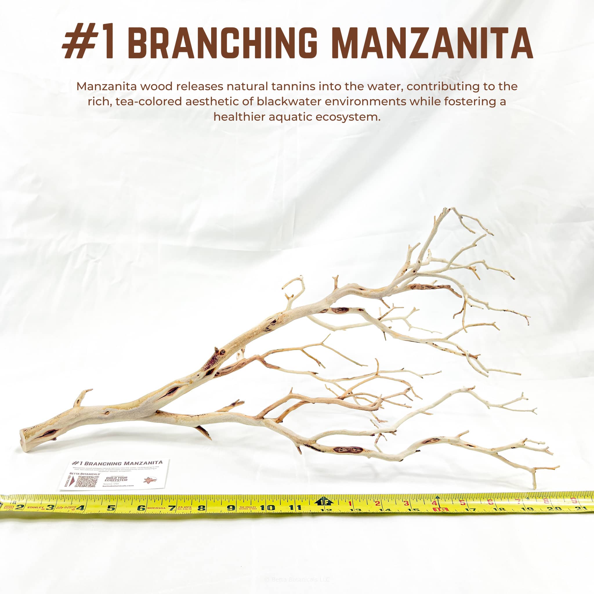 Branching Manzanita | WYSIWYG Pieces