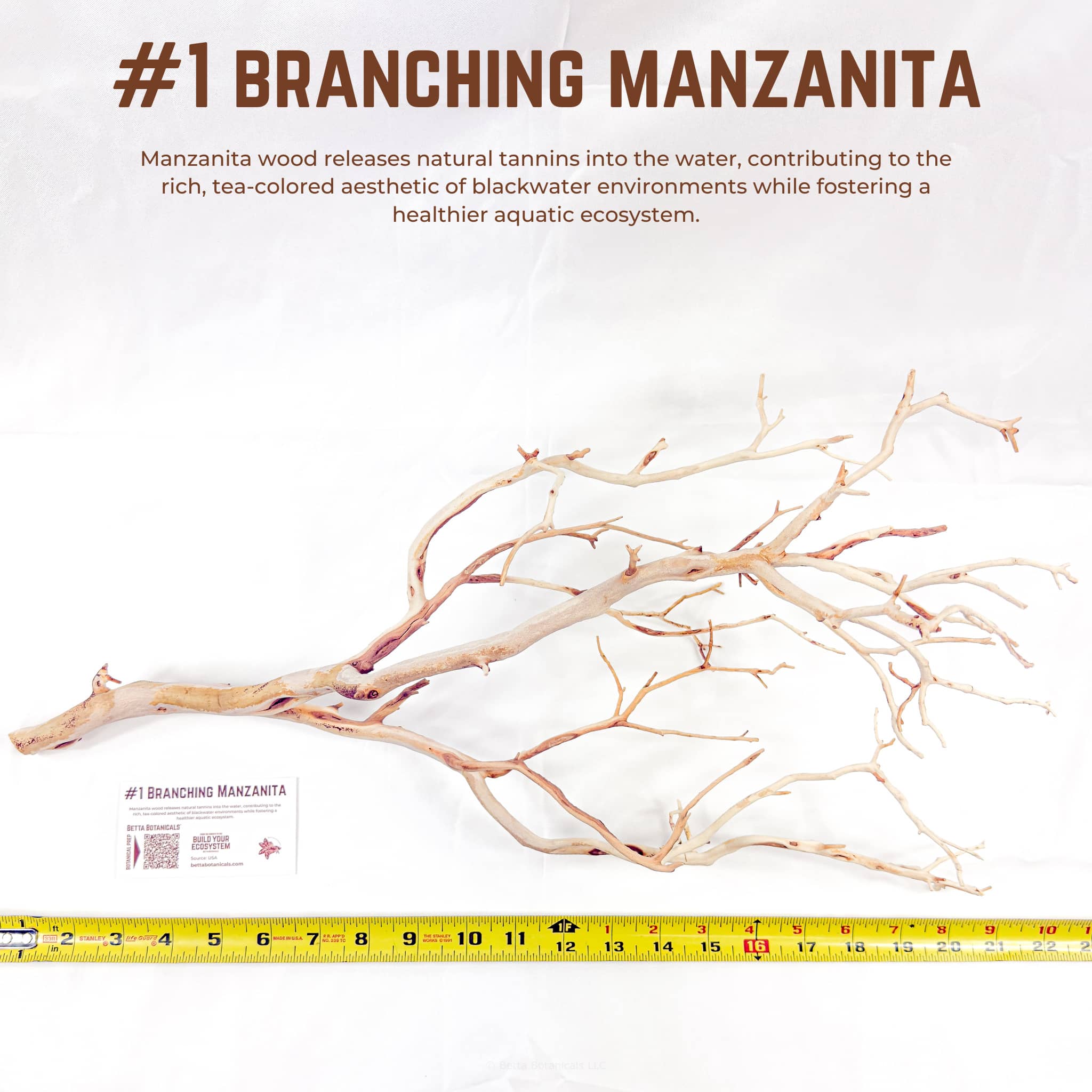 Branching Manzanita | WYSIWYG Pieces