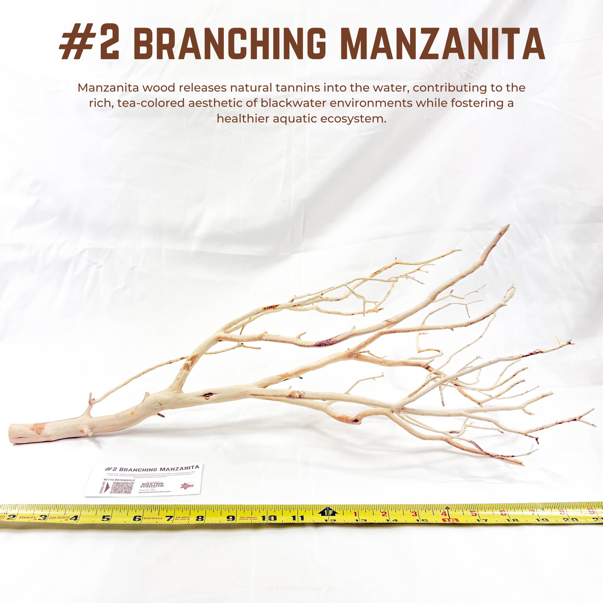 Branching Manzanita | WYSIWYG Pieces