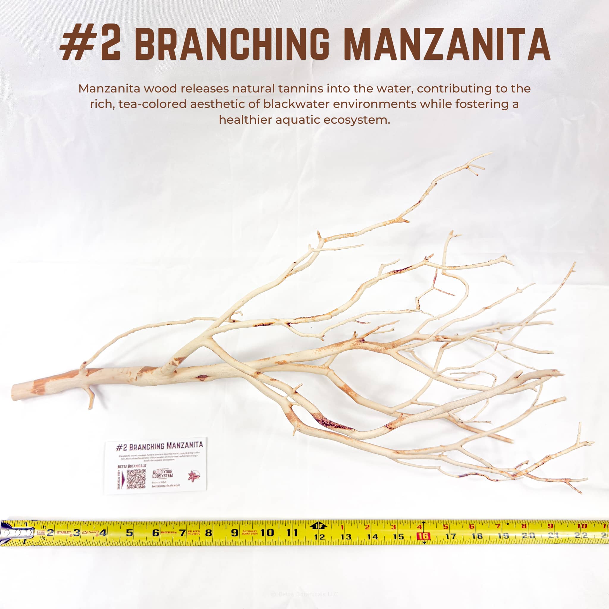Branching Manzanita | WYSIWYG Pieces