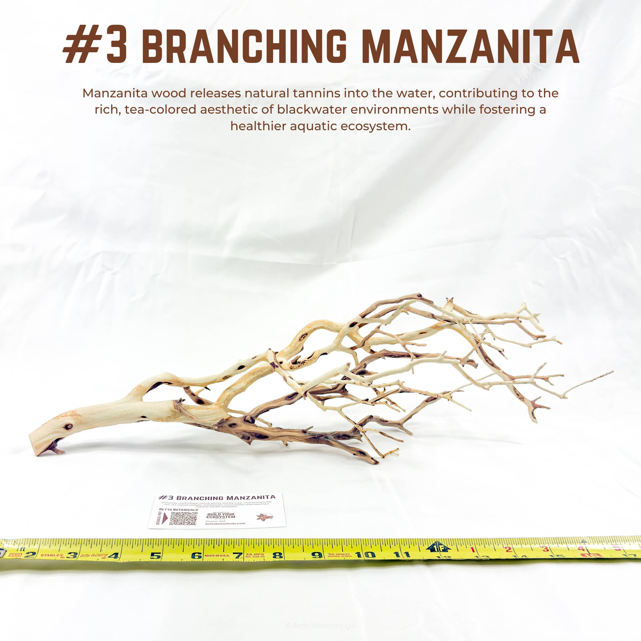 Branching Manzanita | WYSIWYG Pieces