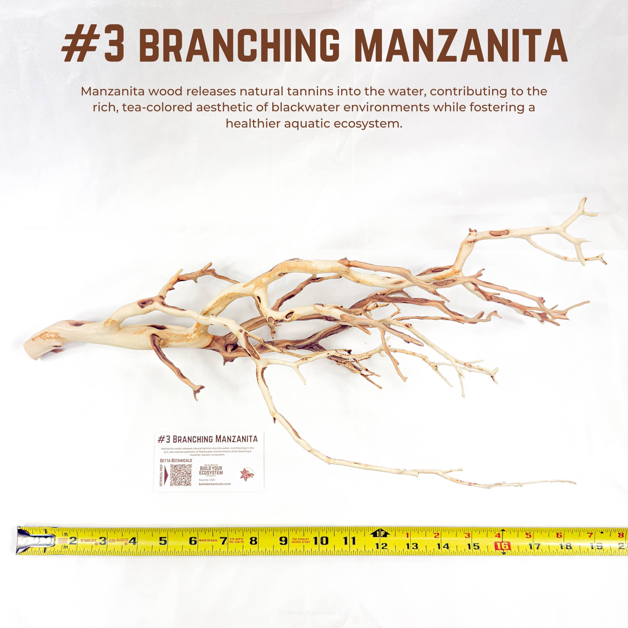 Branching Manzanita | WYSIWYG Pieces