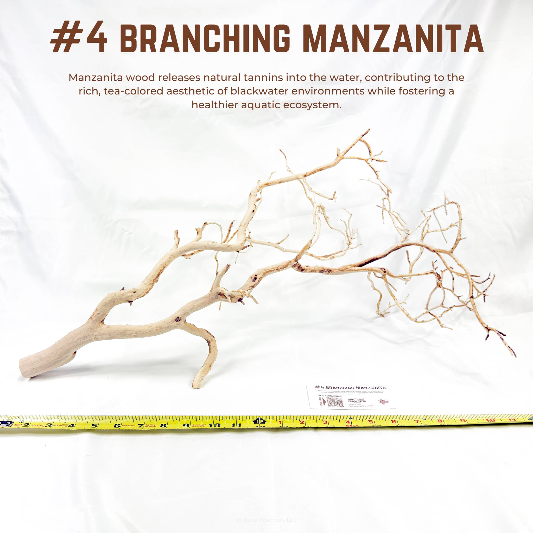 Branching Manzanita | WYSIWYG Pieces